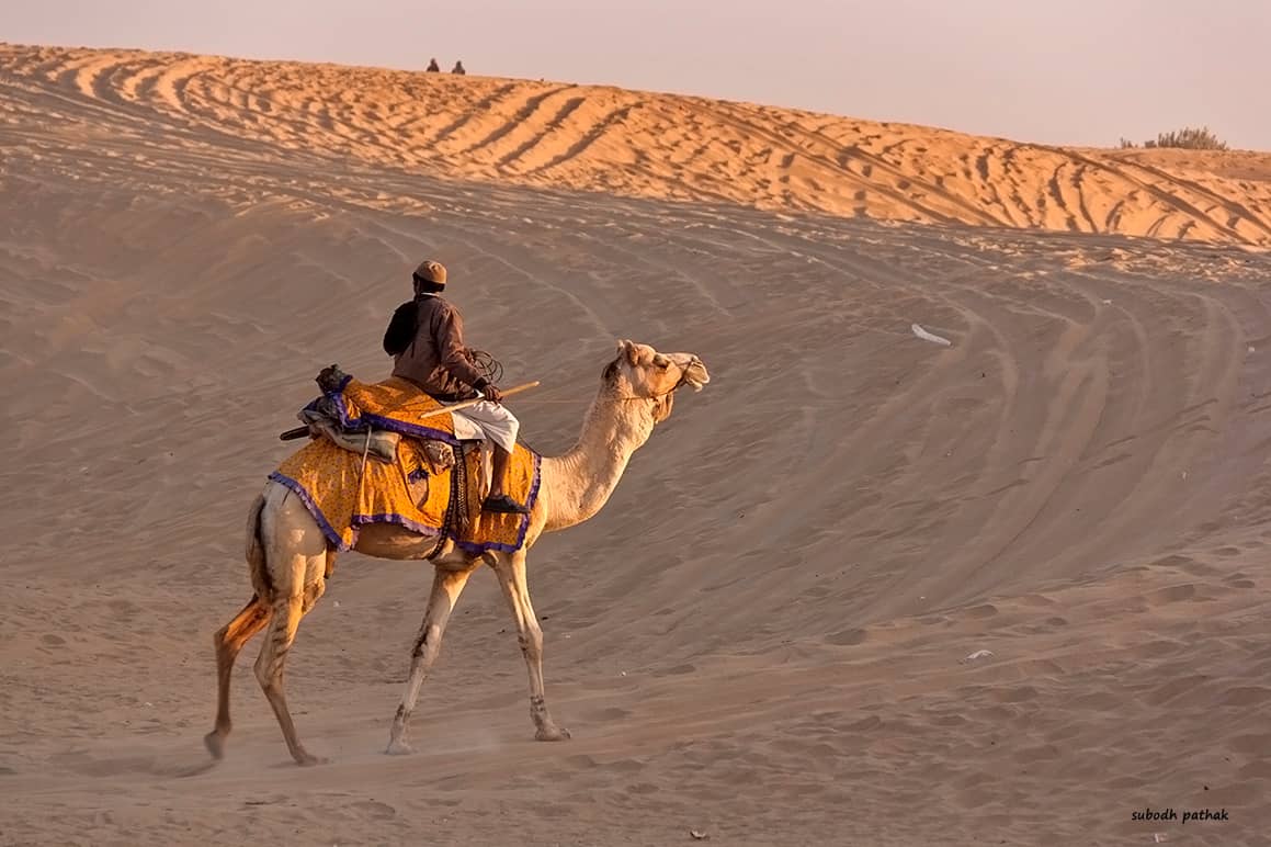 Camel Ride to Sand Dunes
