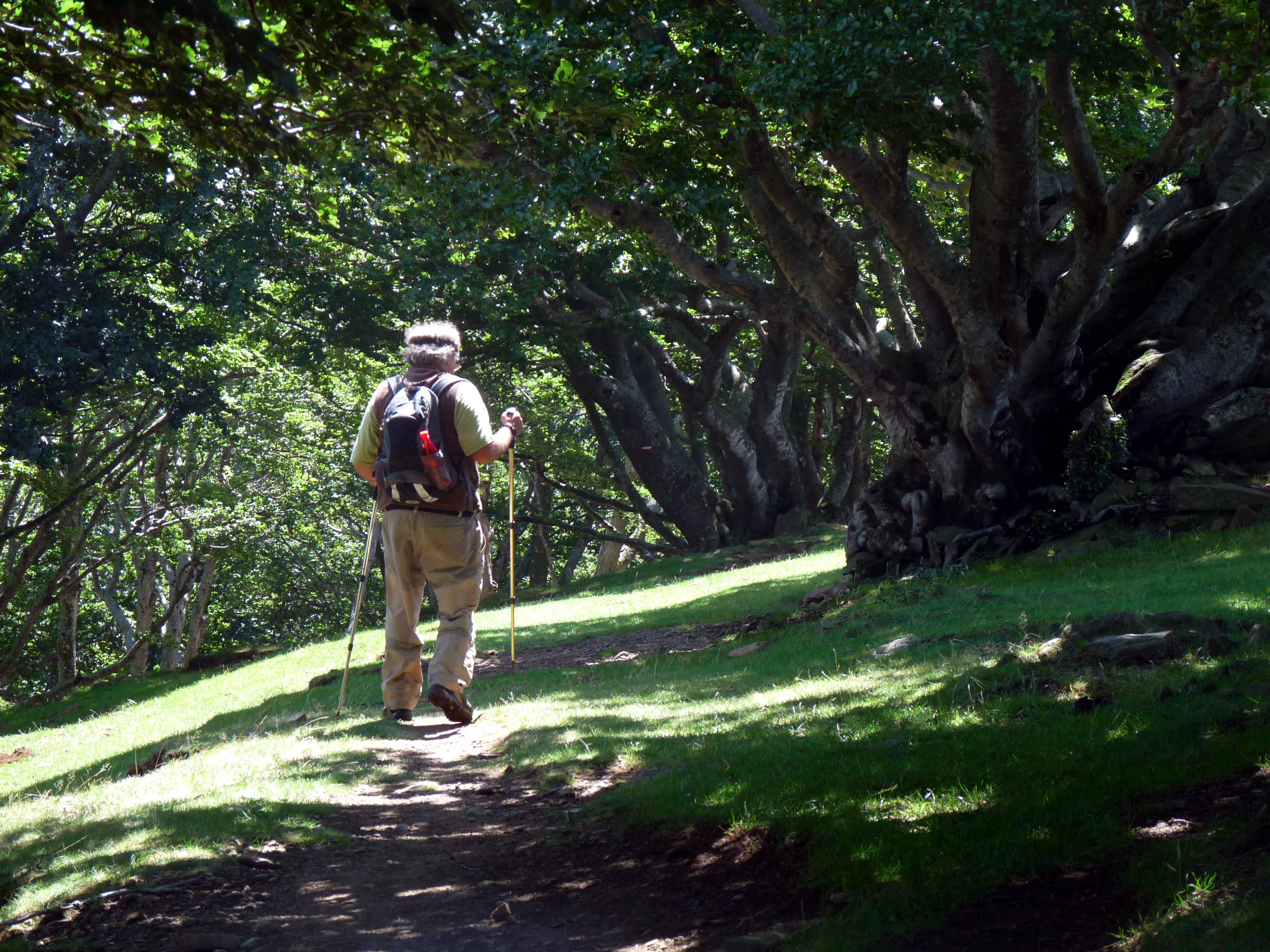 Varied Terrain