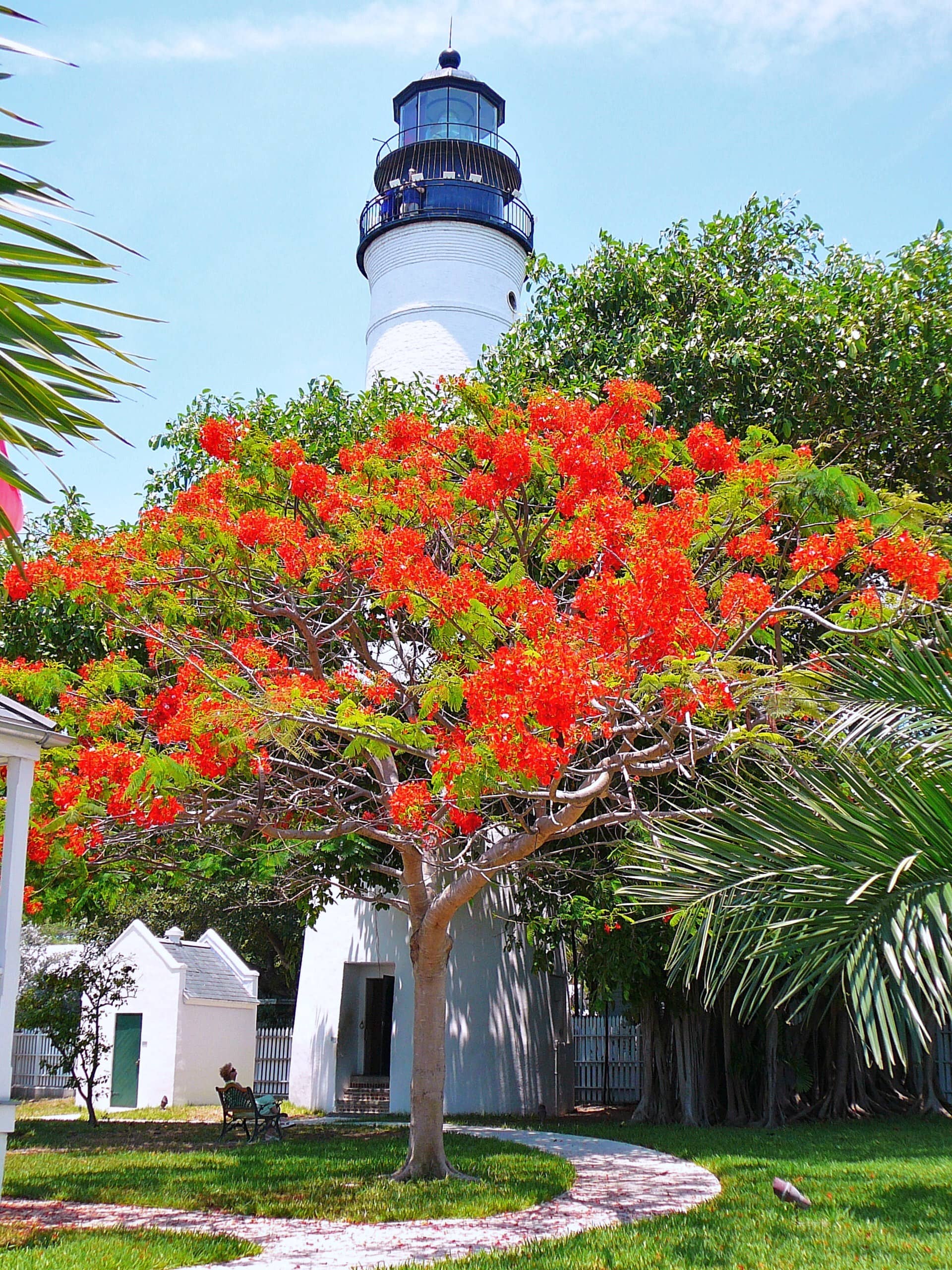 Historic Lighthouse Tower