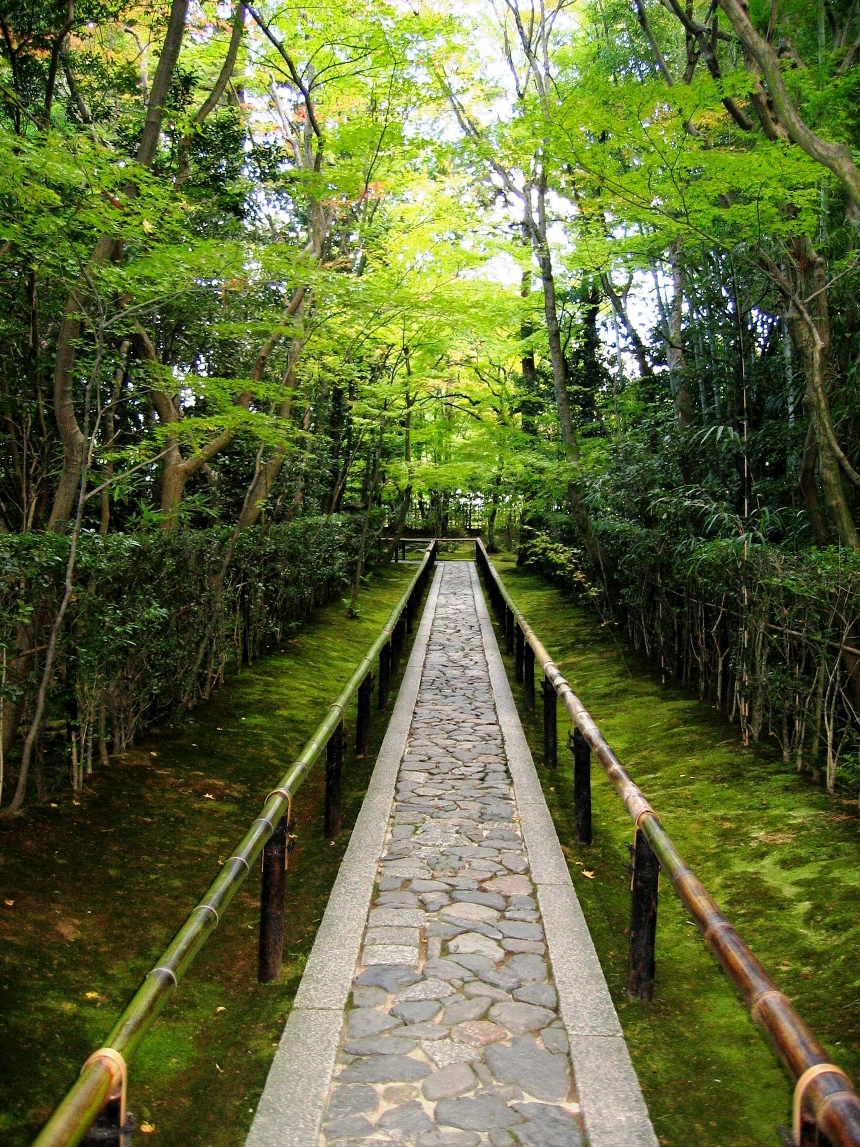 Zen Garden Serenity