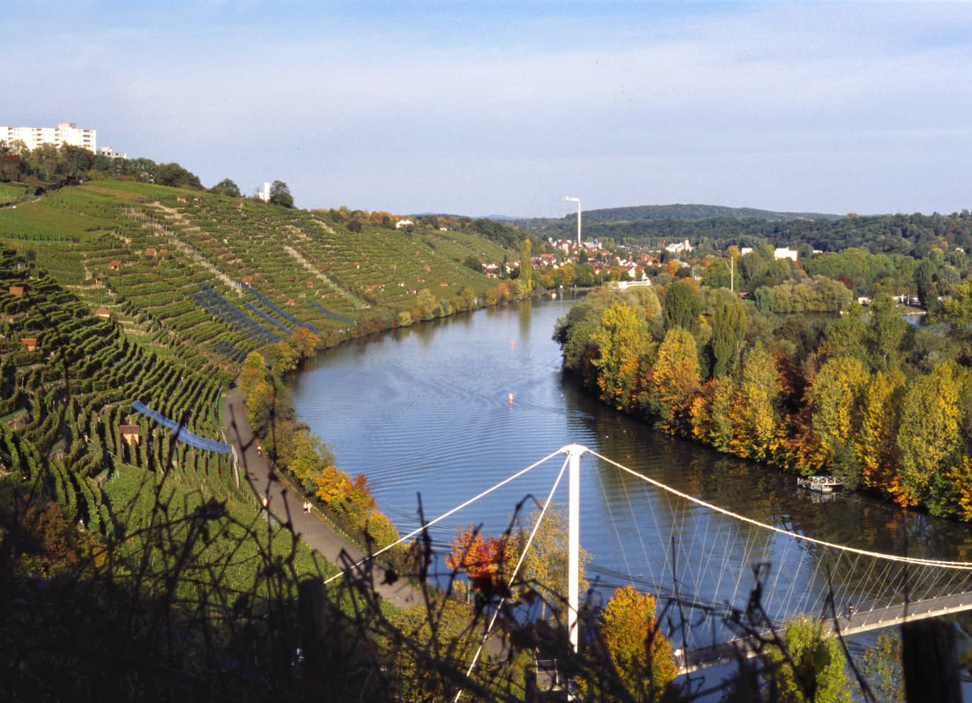 Neckar Riverfront