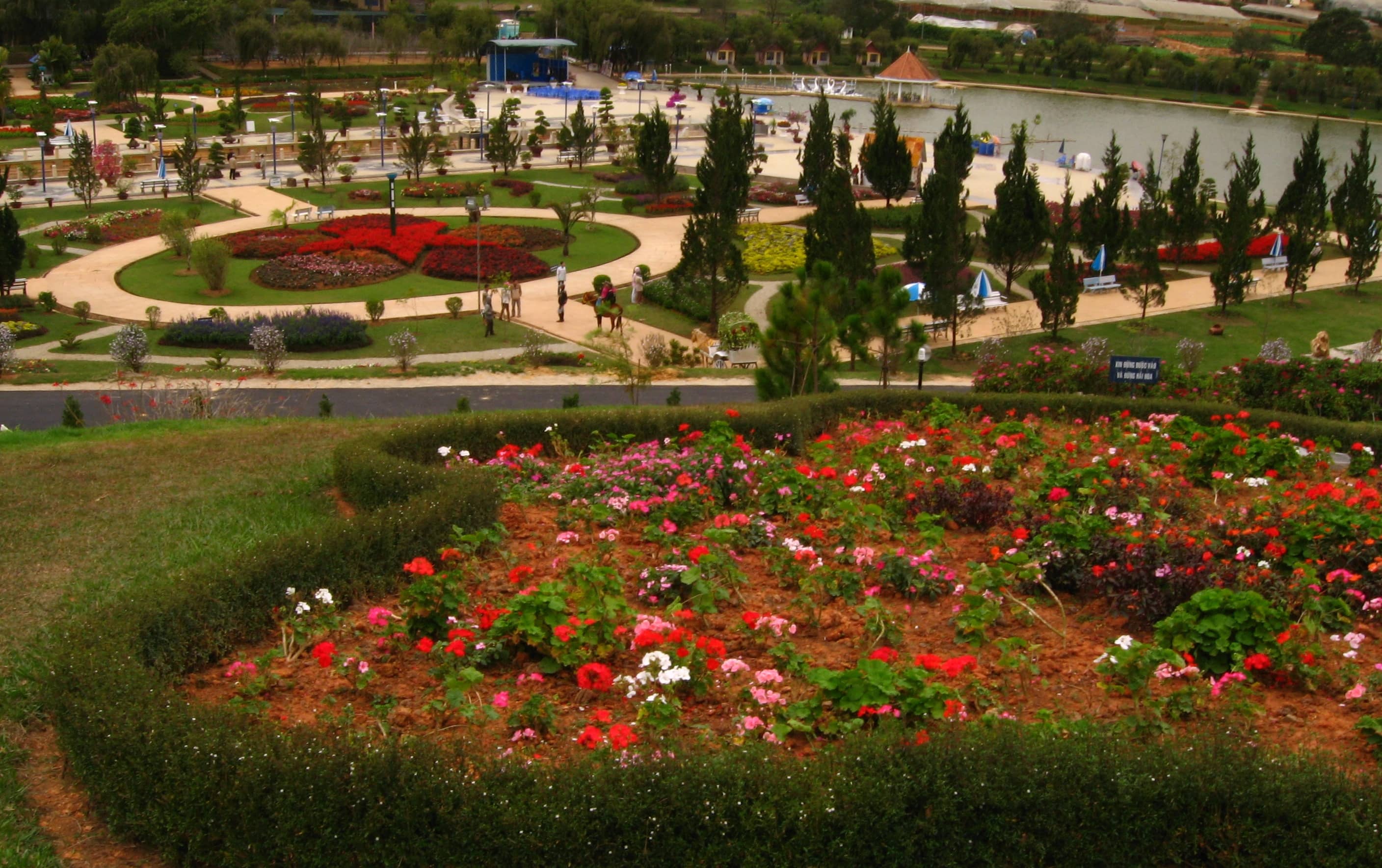 Vibrant Flower Beds