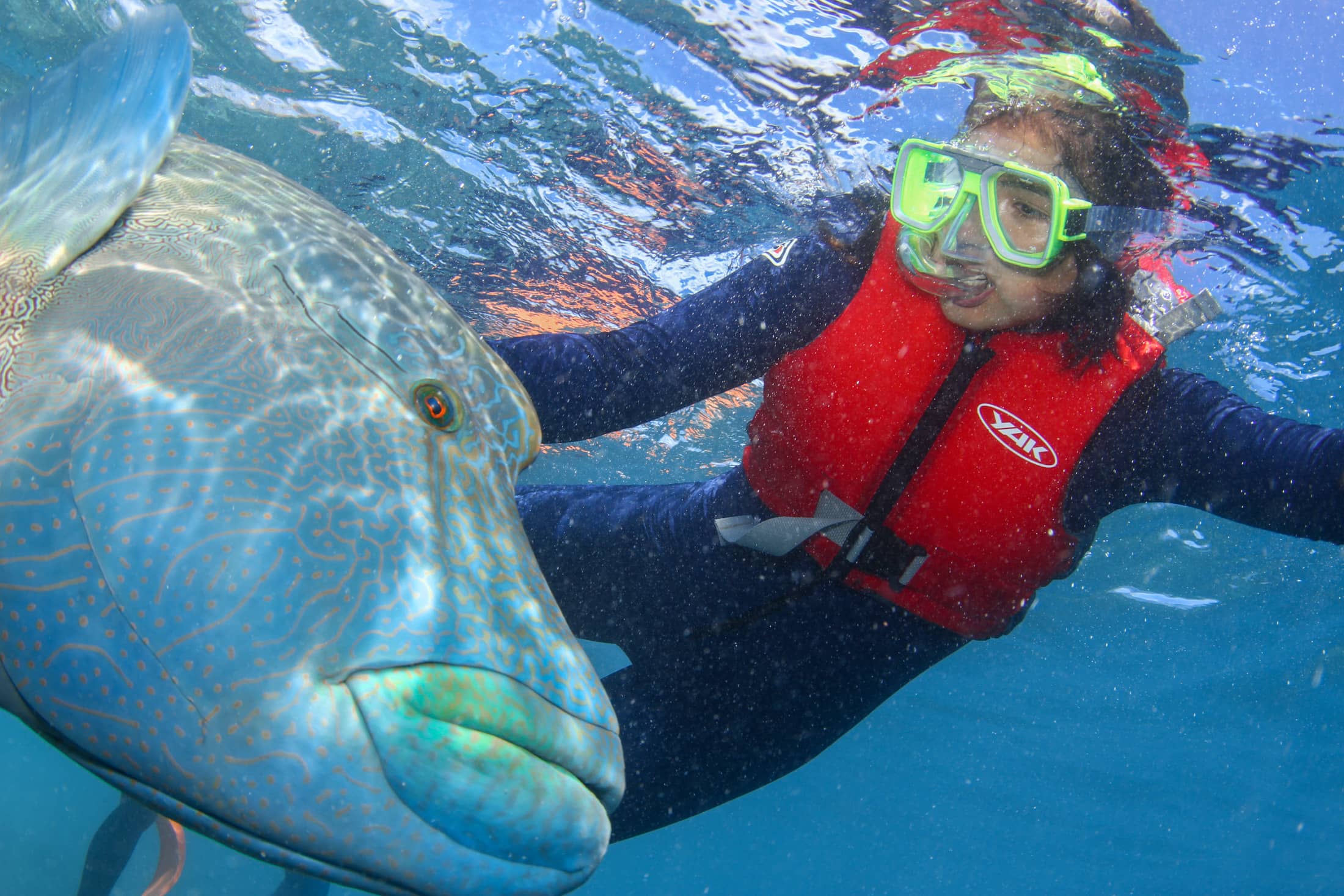 Snorkeling & Diving Adventures