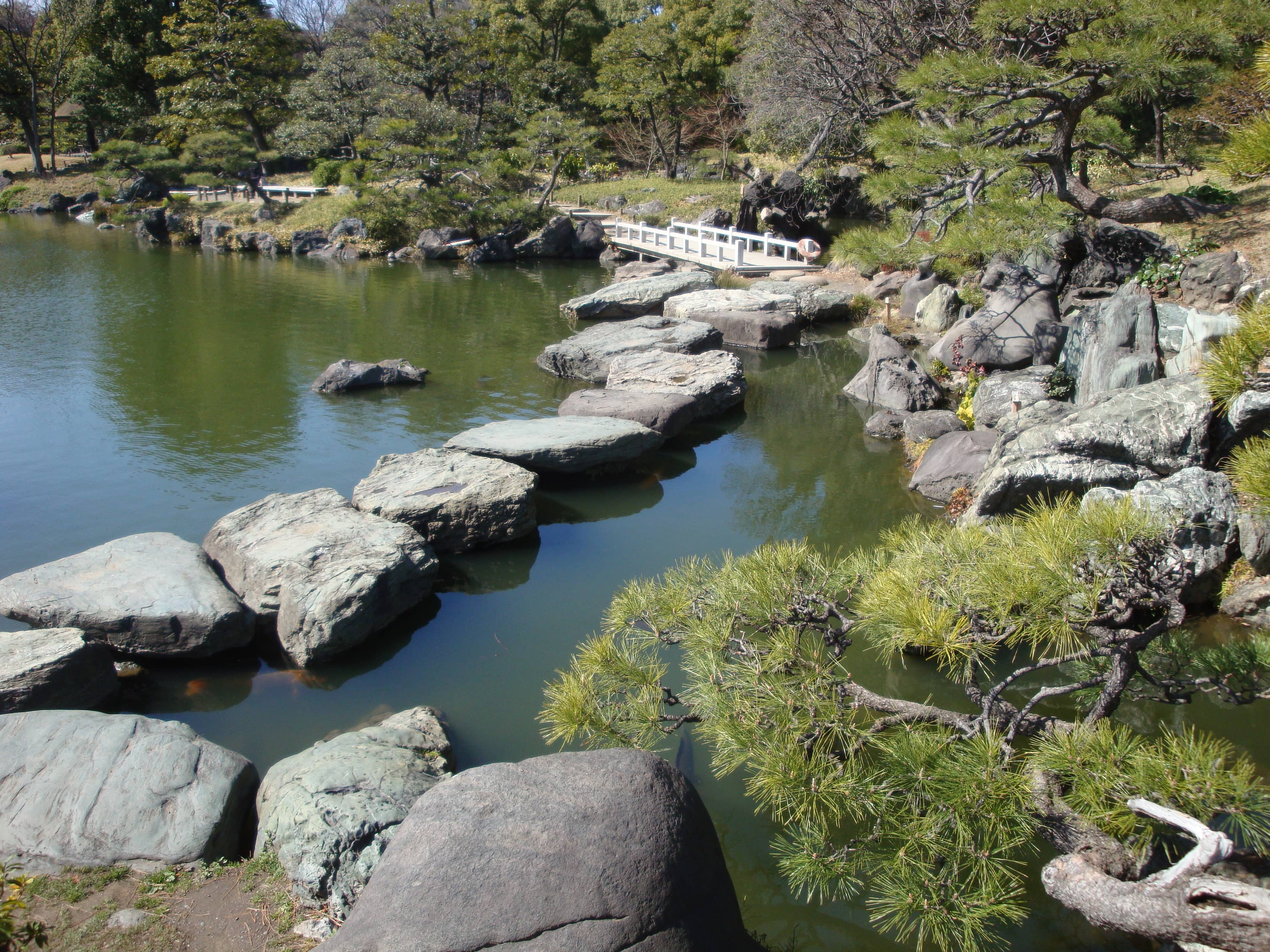 Stepping Stone Path