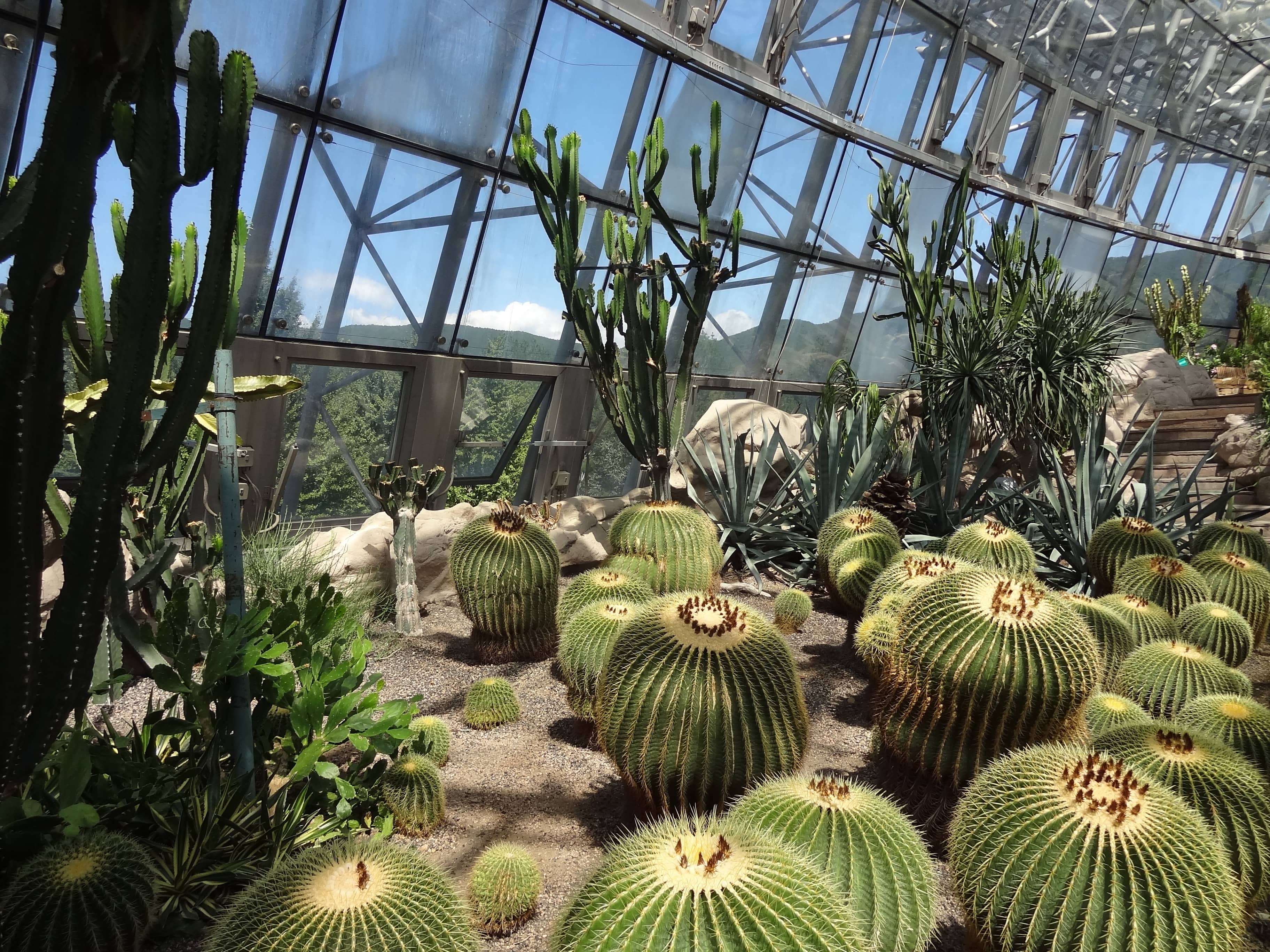 Greenhouse Conservatory