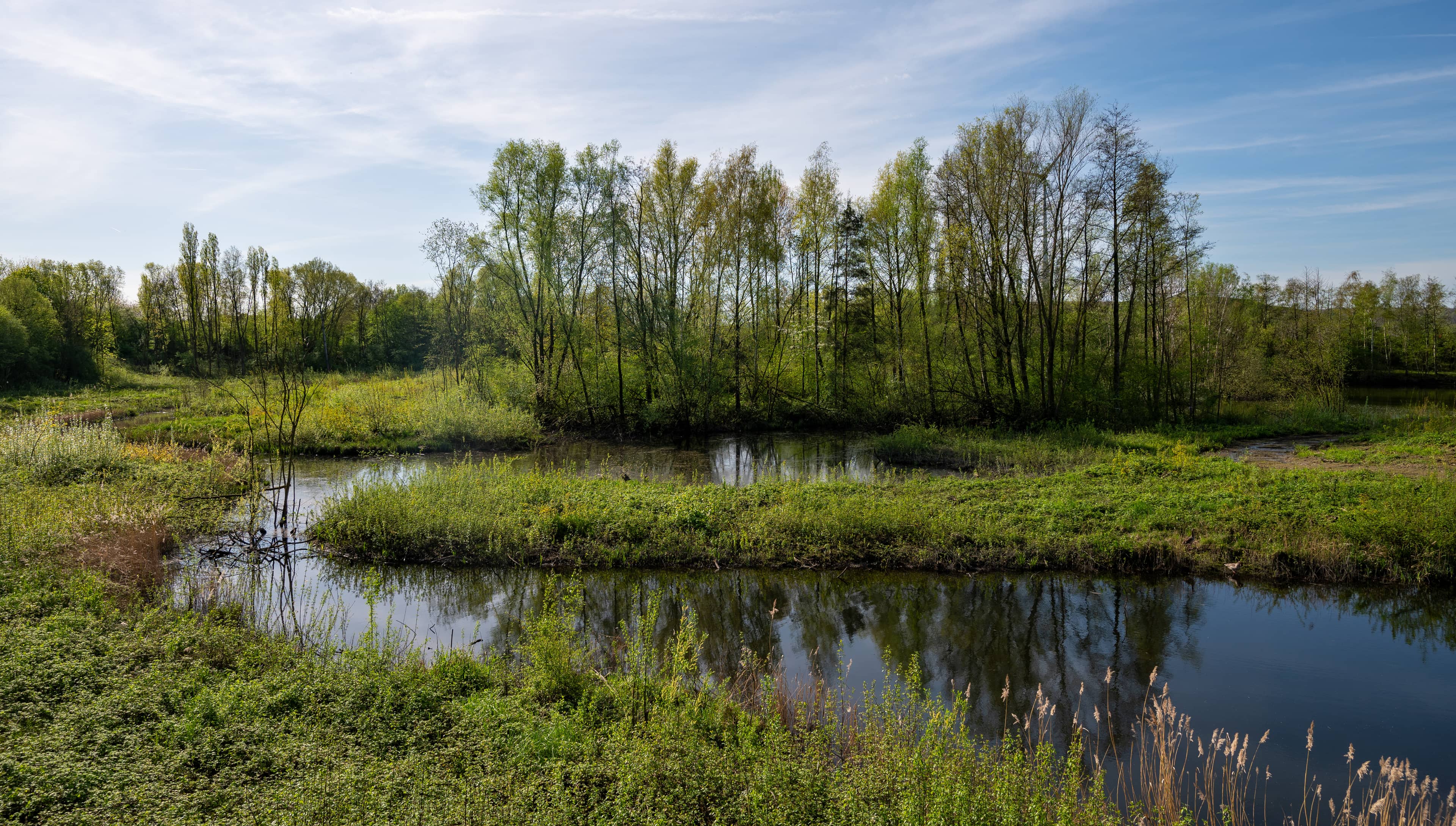 Nature and Recreation Areas