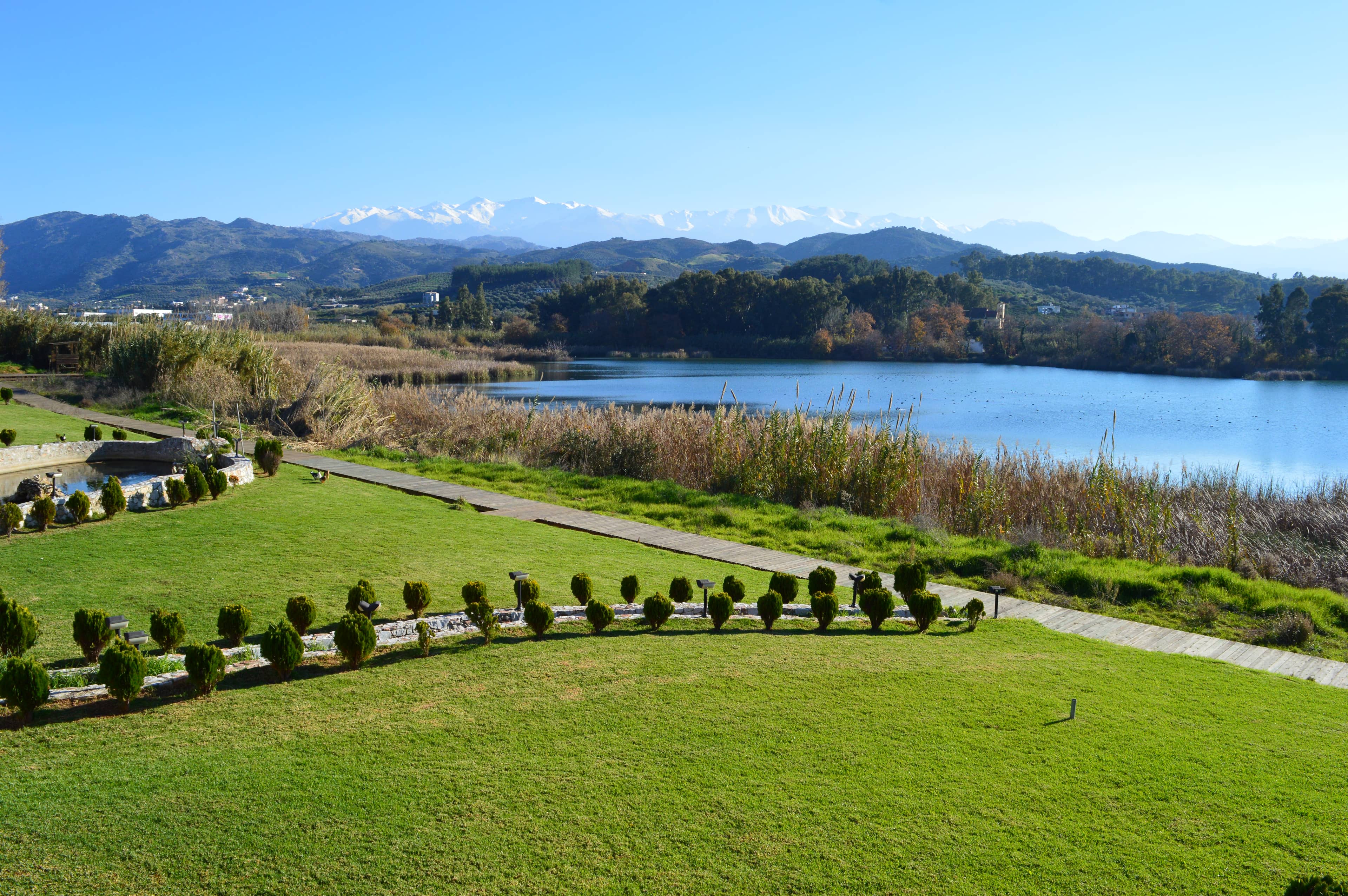Picnic Paradise