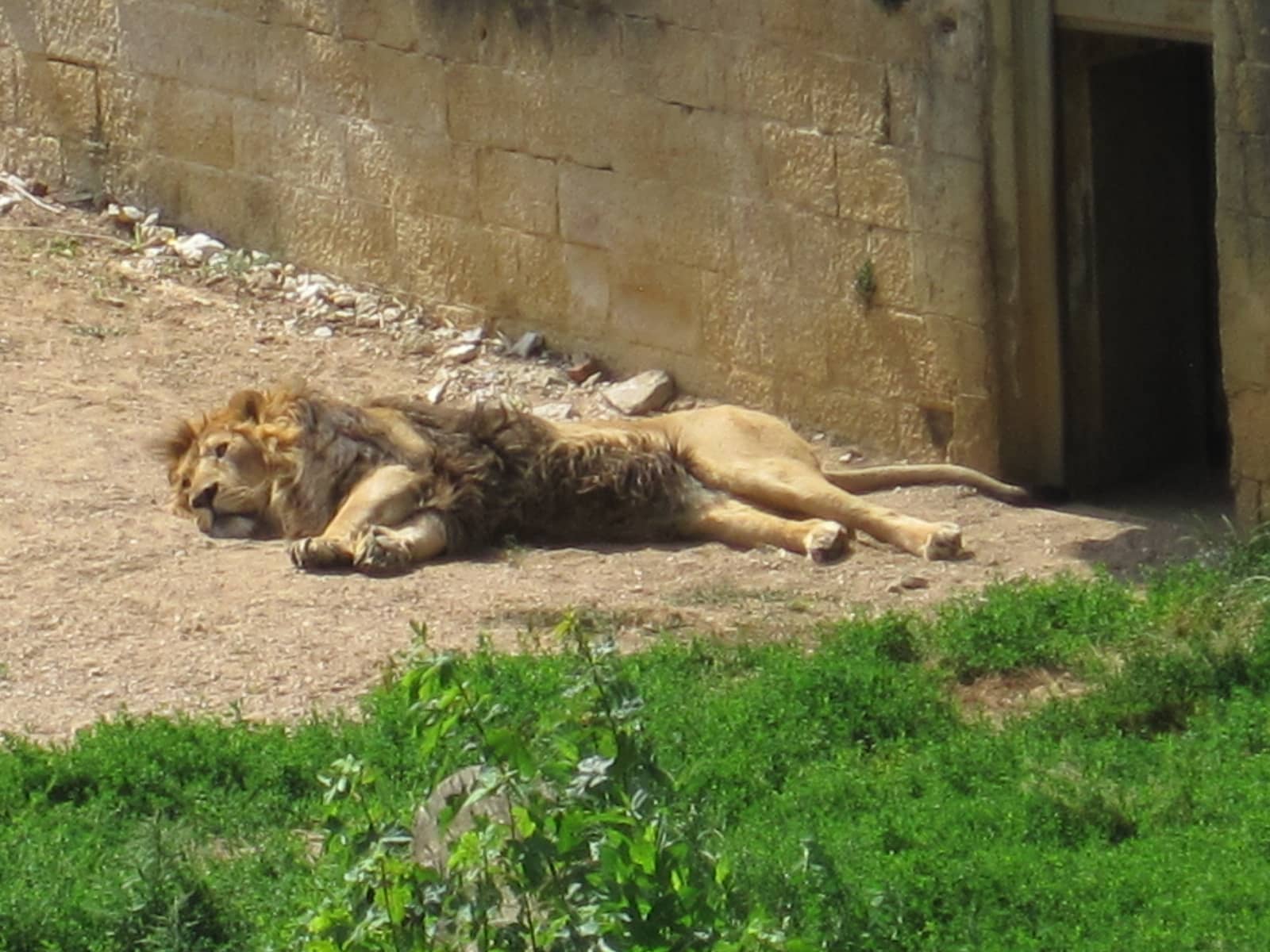 Citadel Zoo