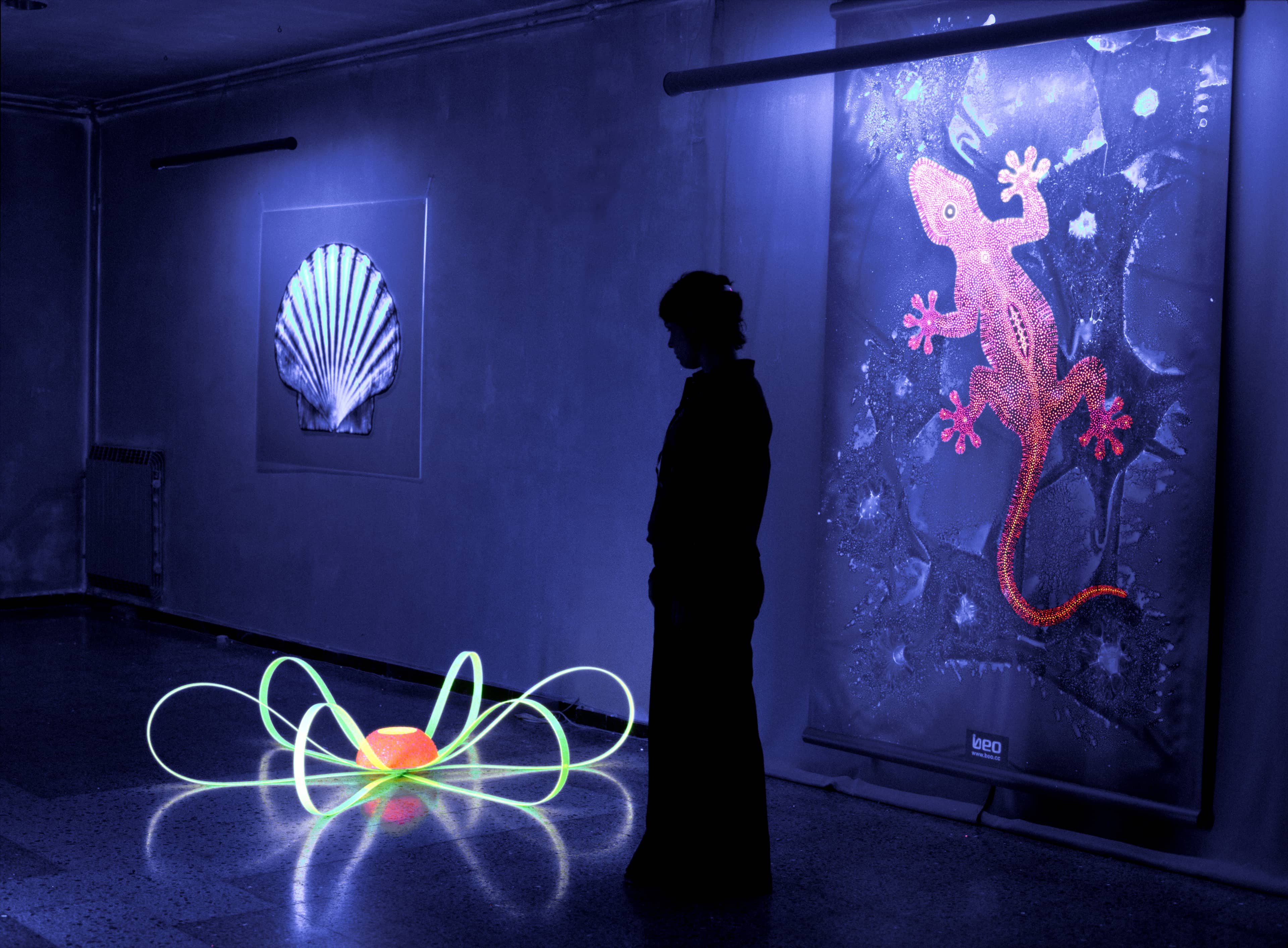 Art Exhibitions