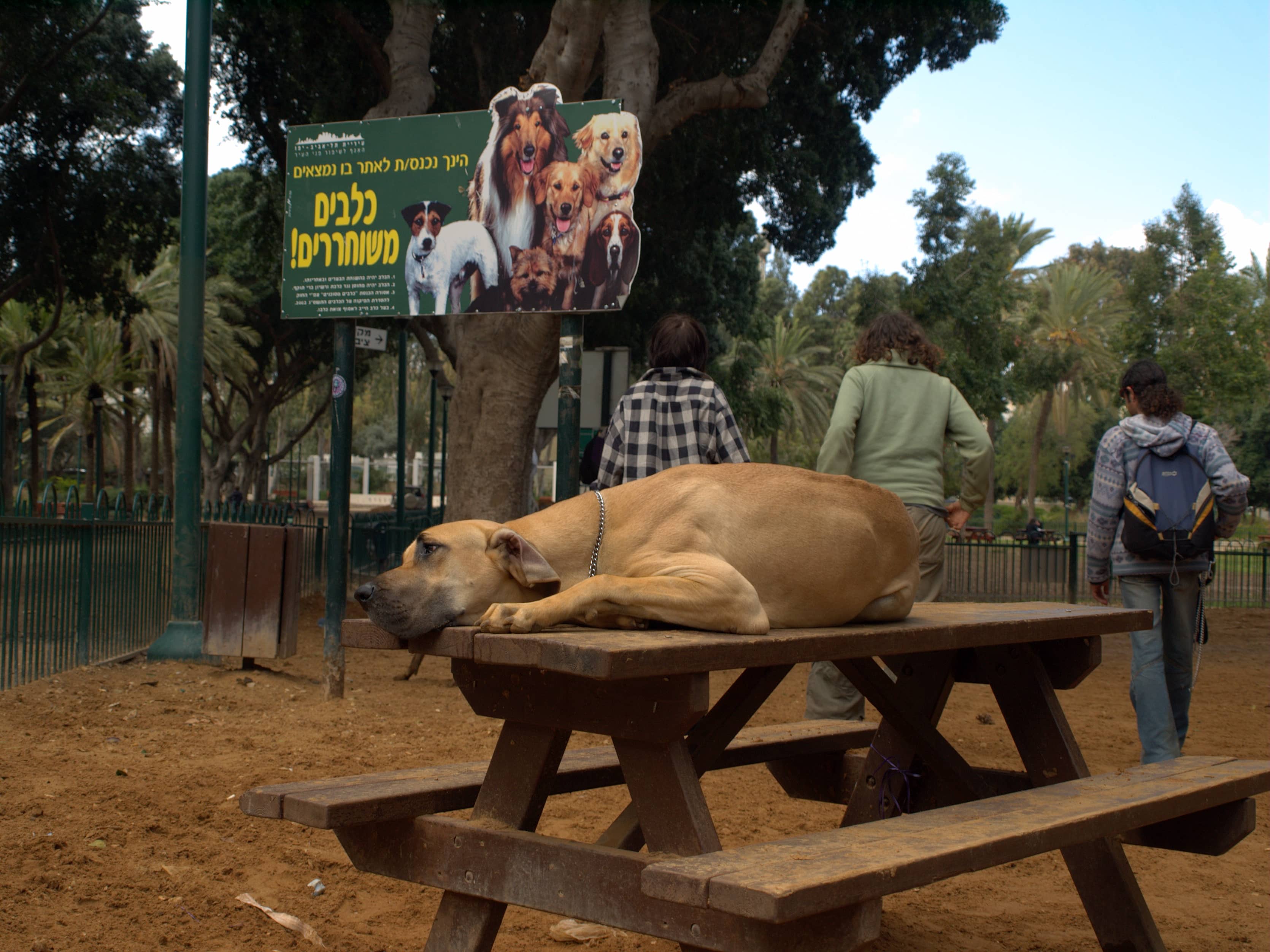 Dedicated Dog Park