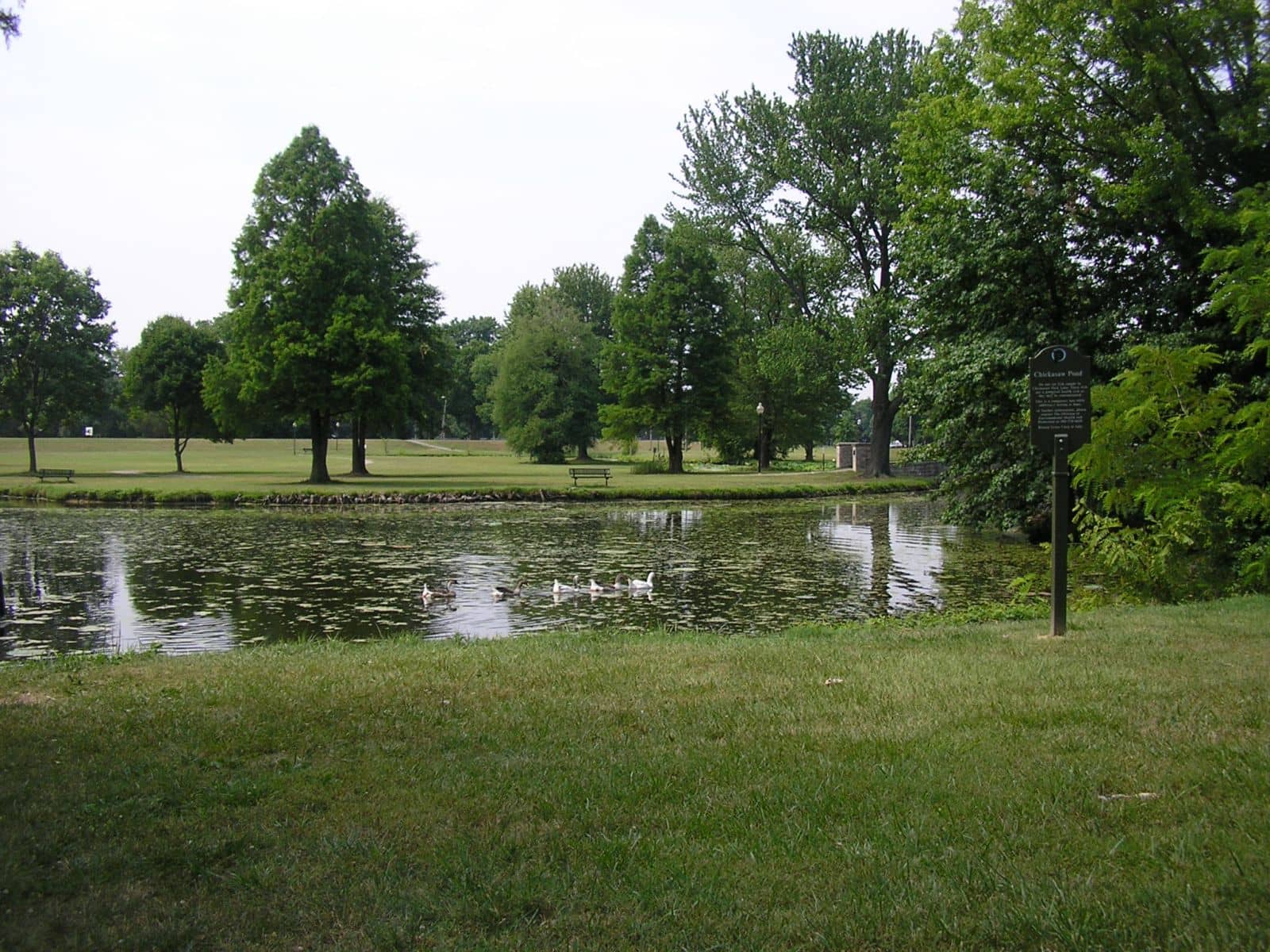 Fishing Pond
