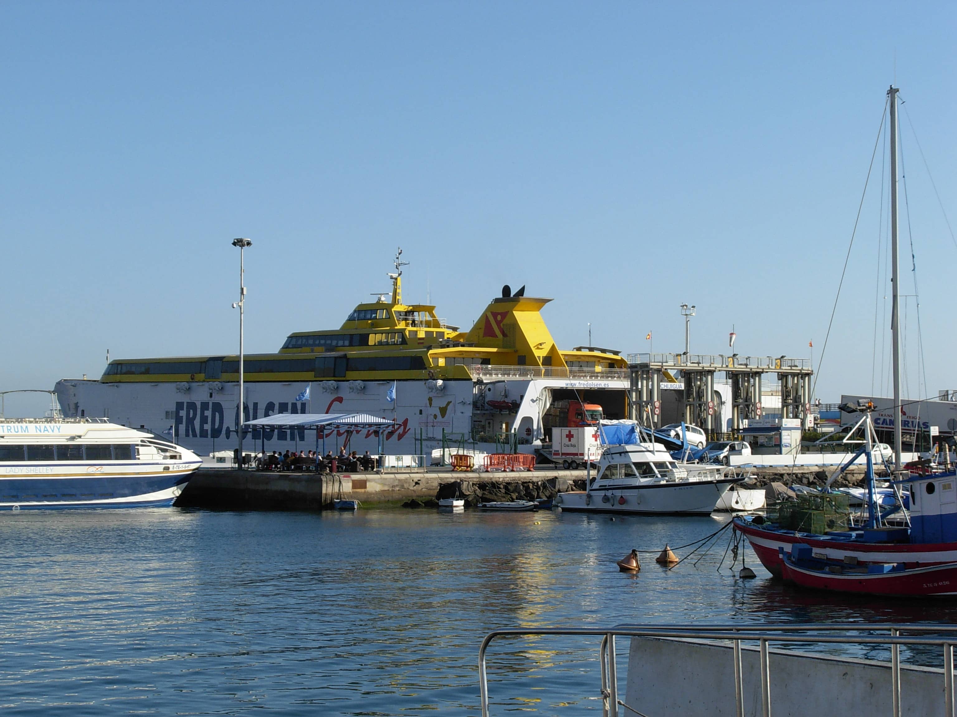 Bustling Harbour