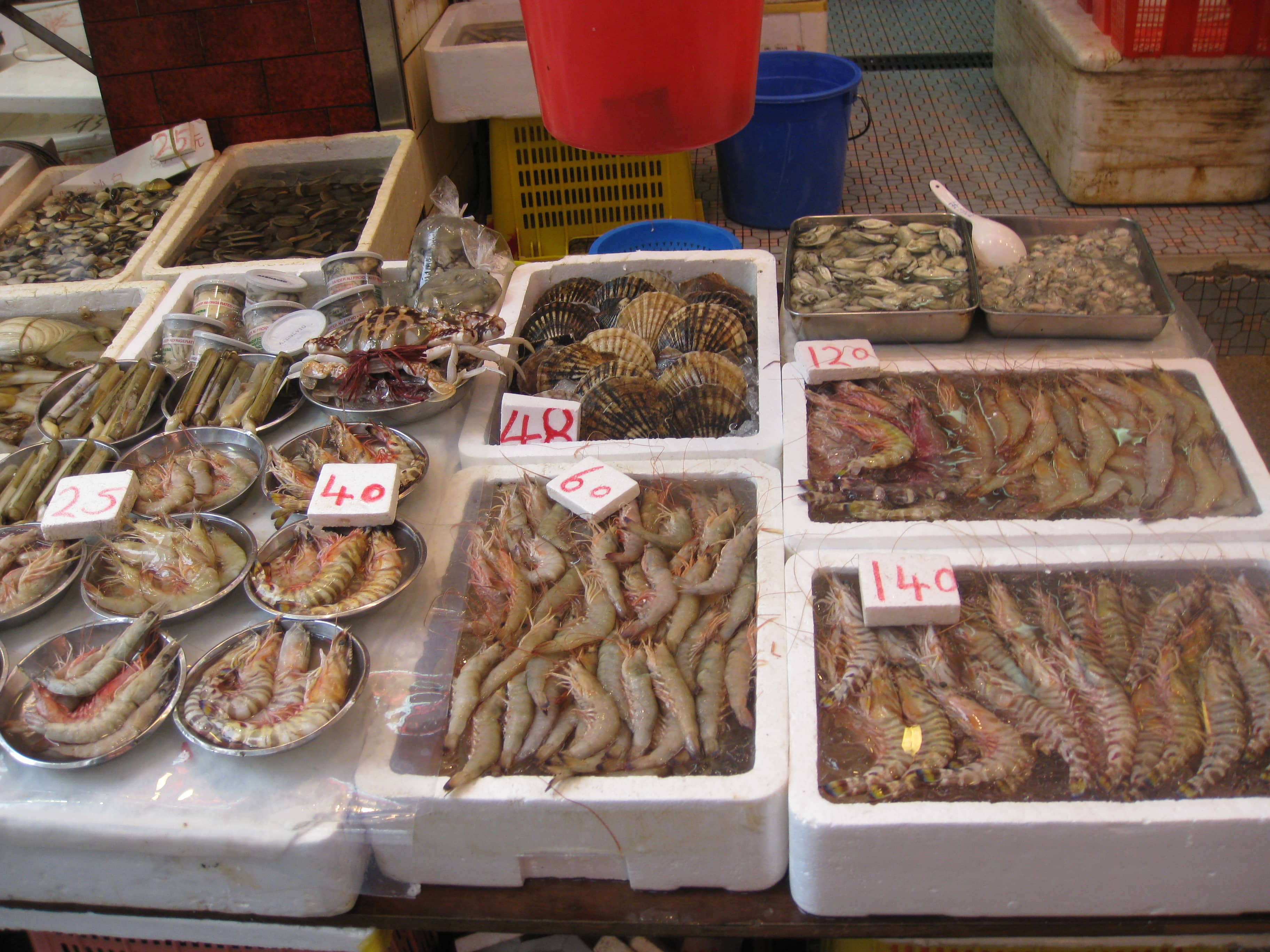 Seafood Galore