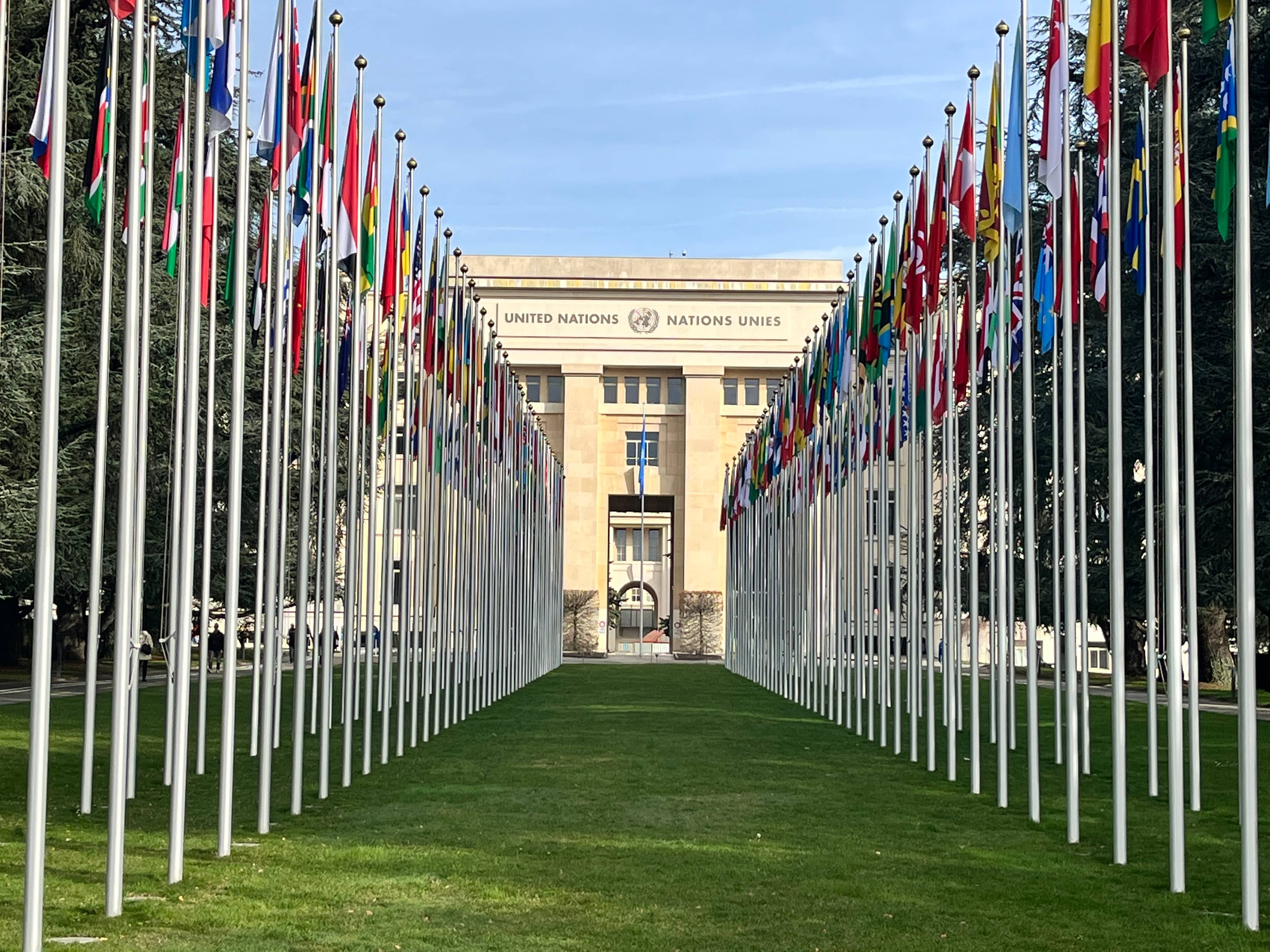 Alley of the Flags