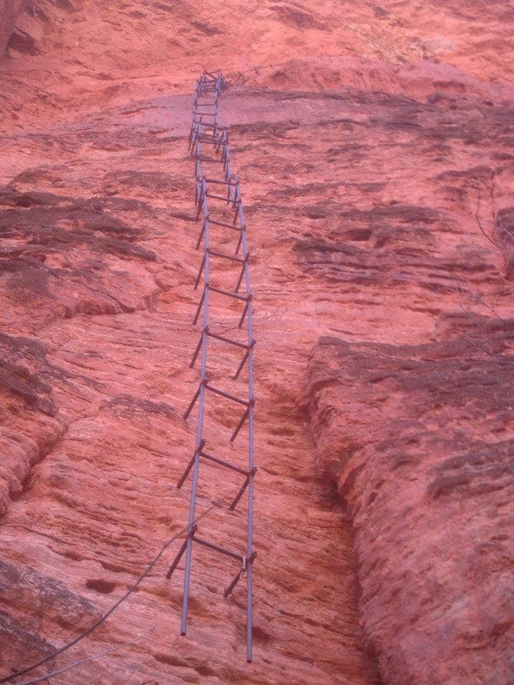 The Thrilling Ladder Climb