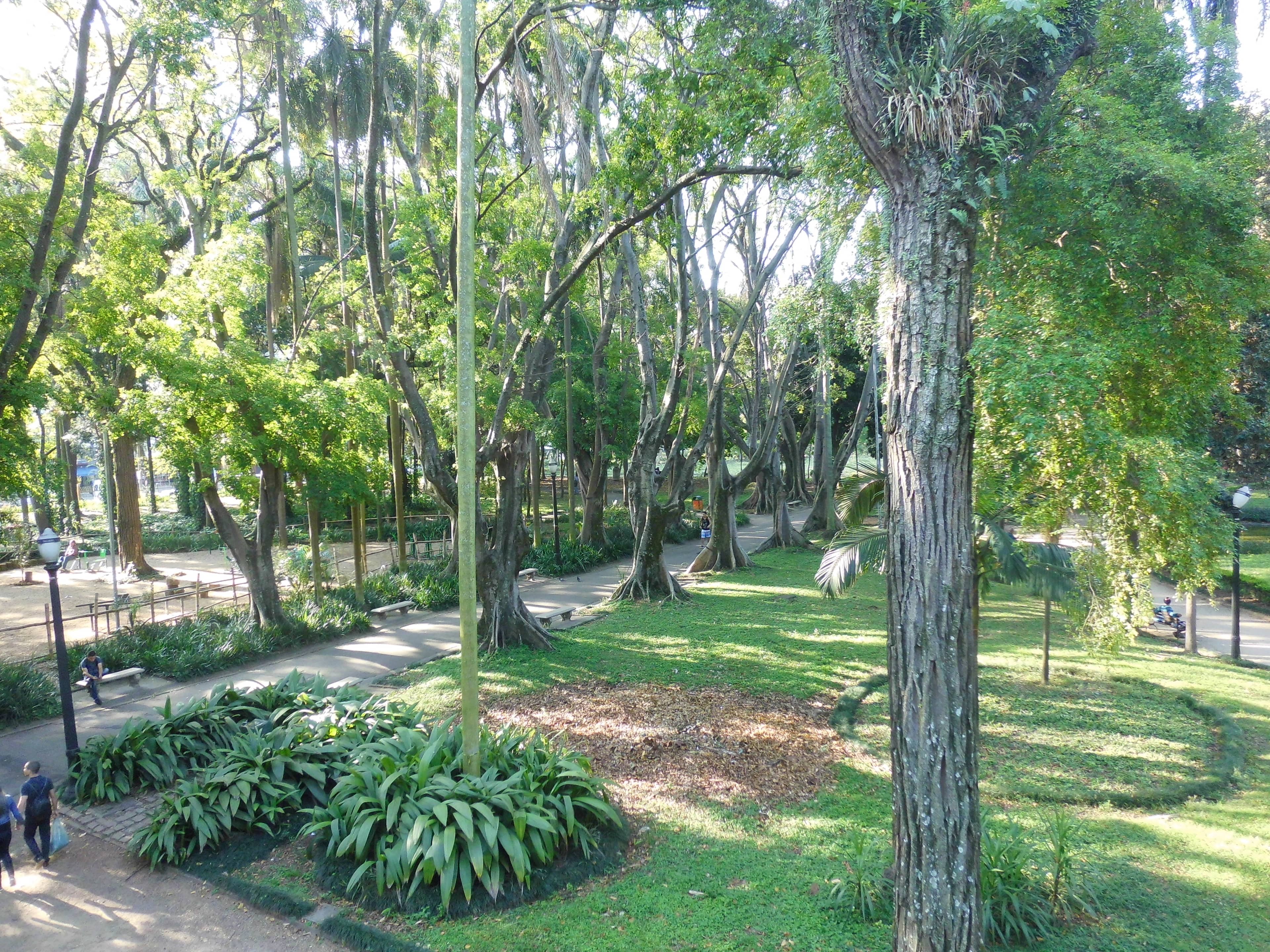 Shaded Gardens