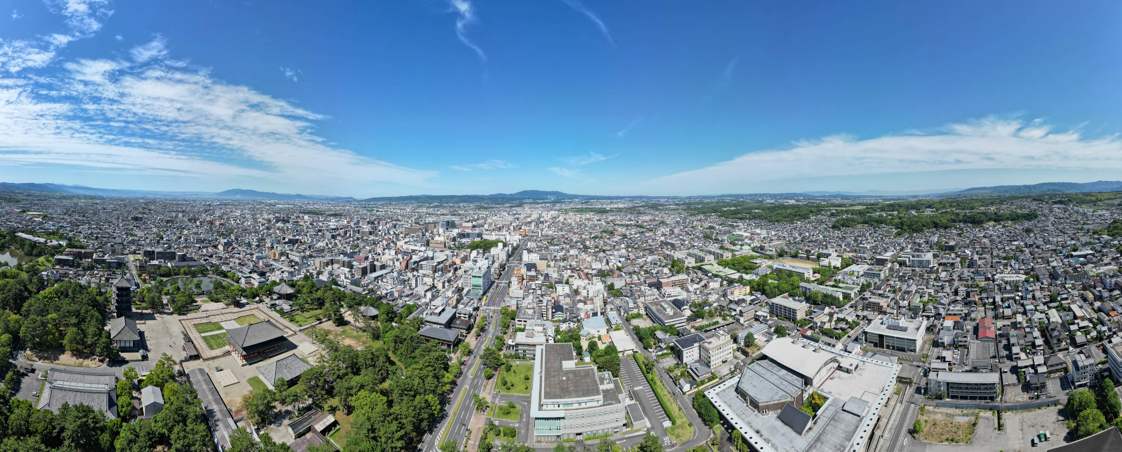 Bird's-Eye View of Nara Park