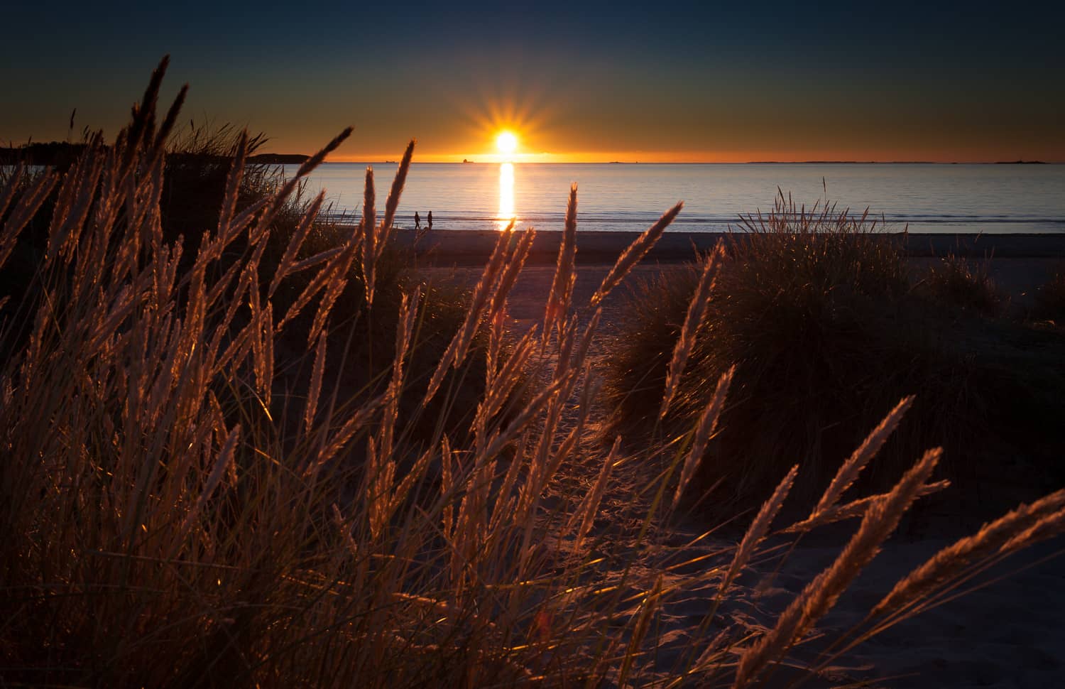 Golden Hour Magic