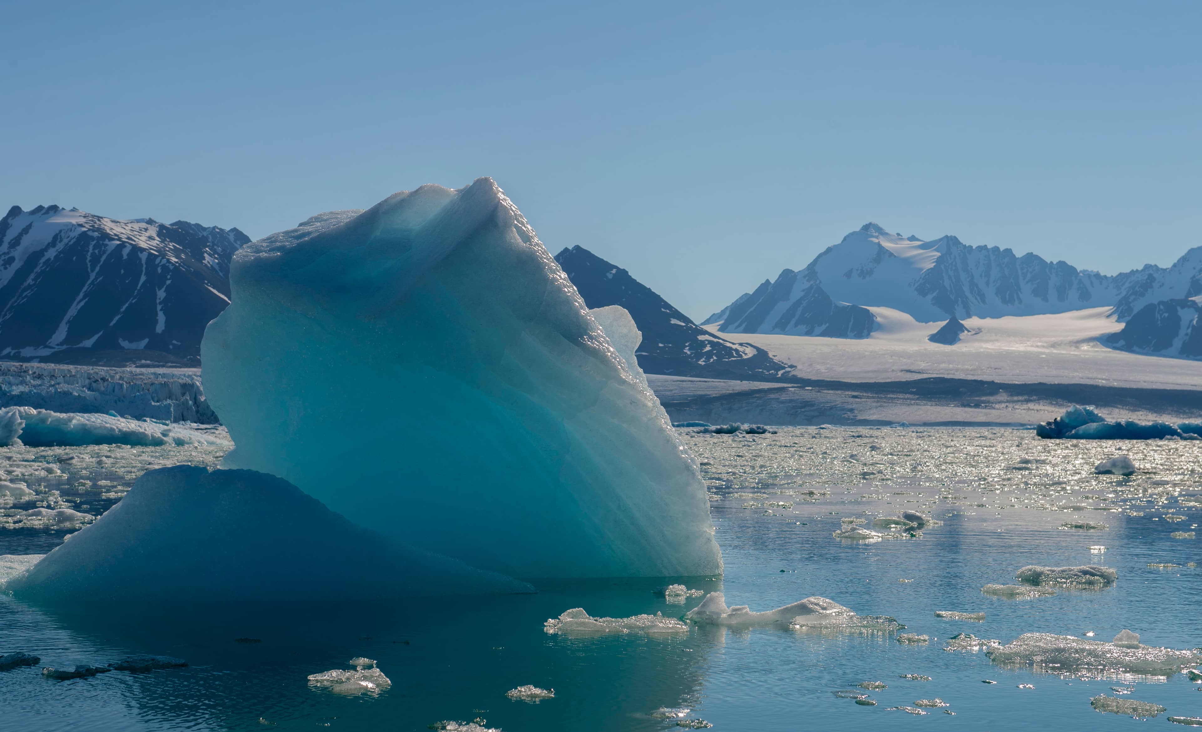 Iceberg Cruising