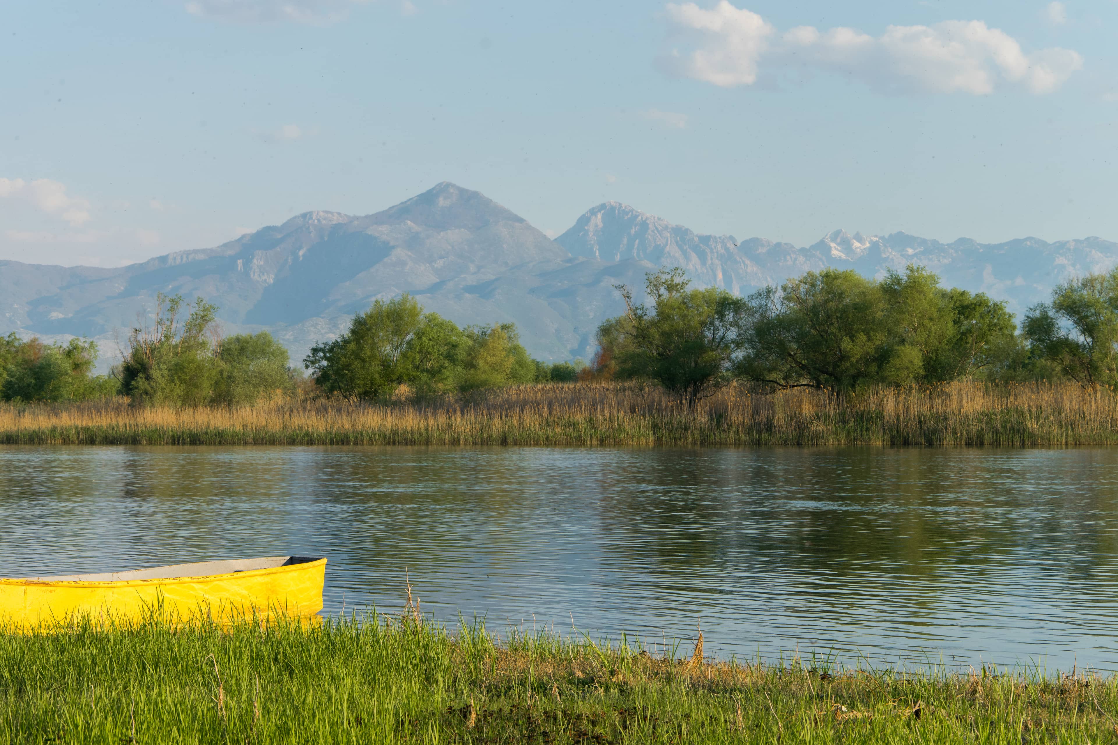 Shkodër Lake