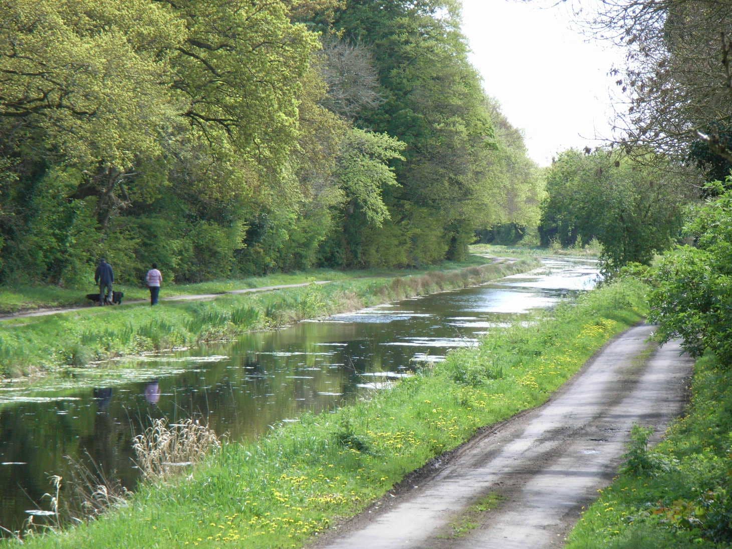 Drumcondra to Maynooth Section