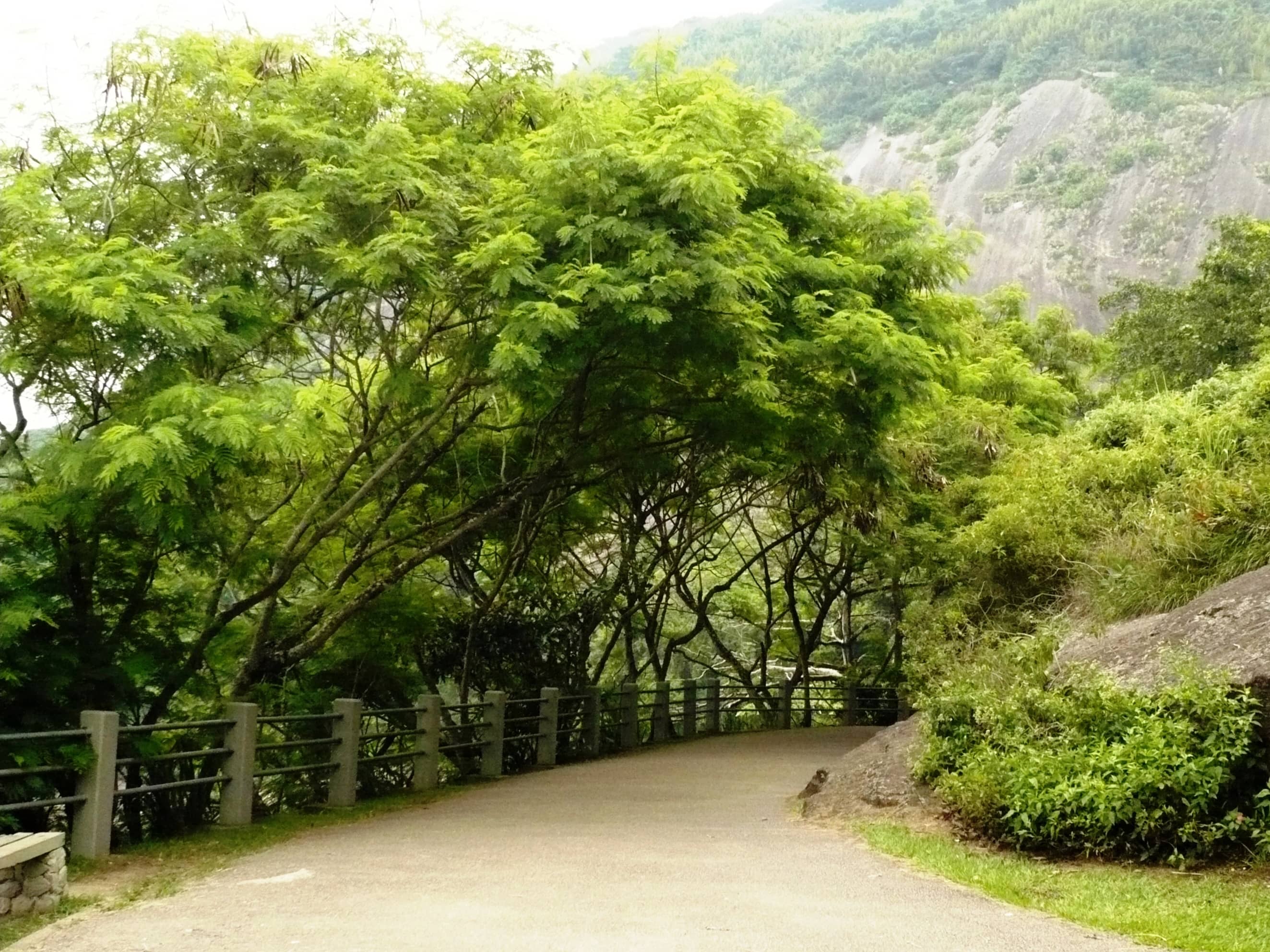 Claudio Coutinho Trail