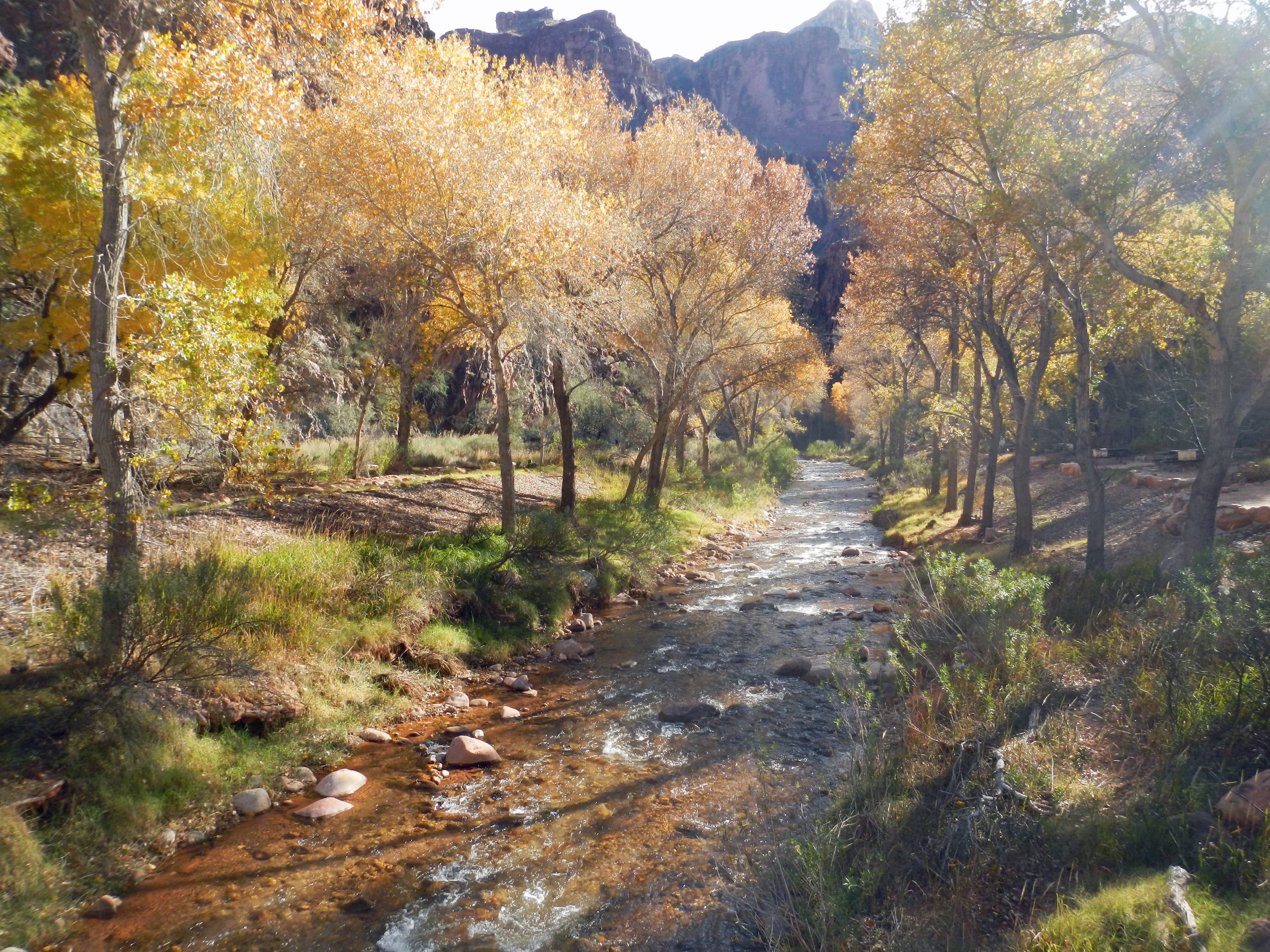 Bright Angel Creek