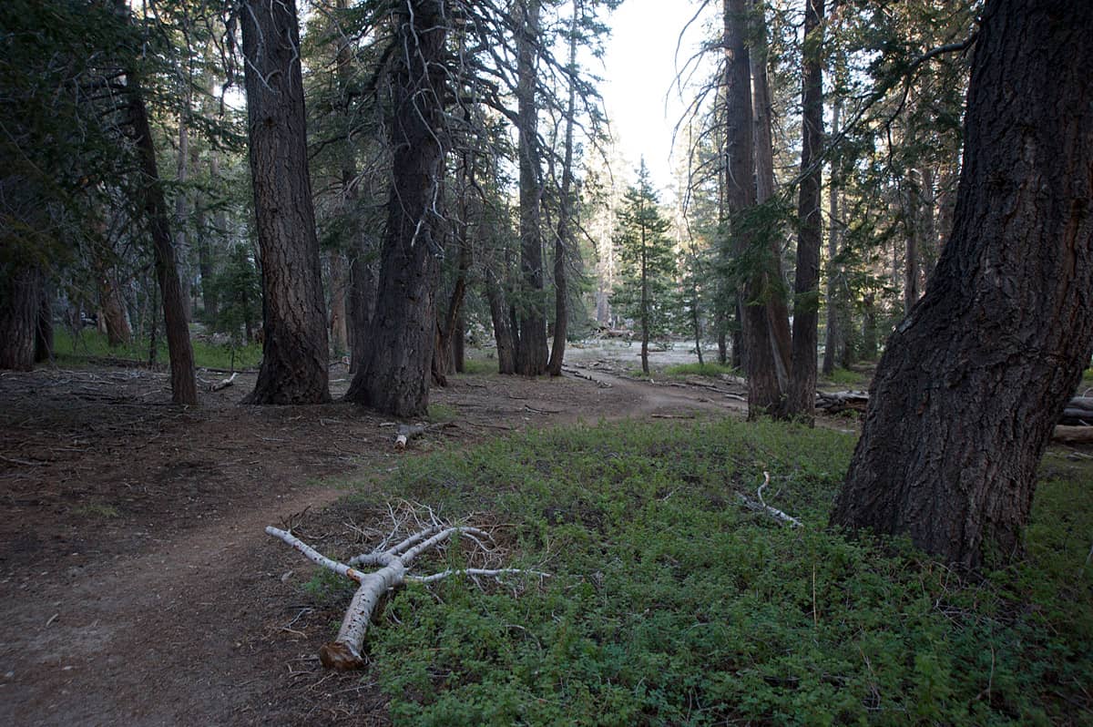 Hiking Trails