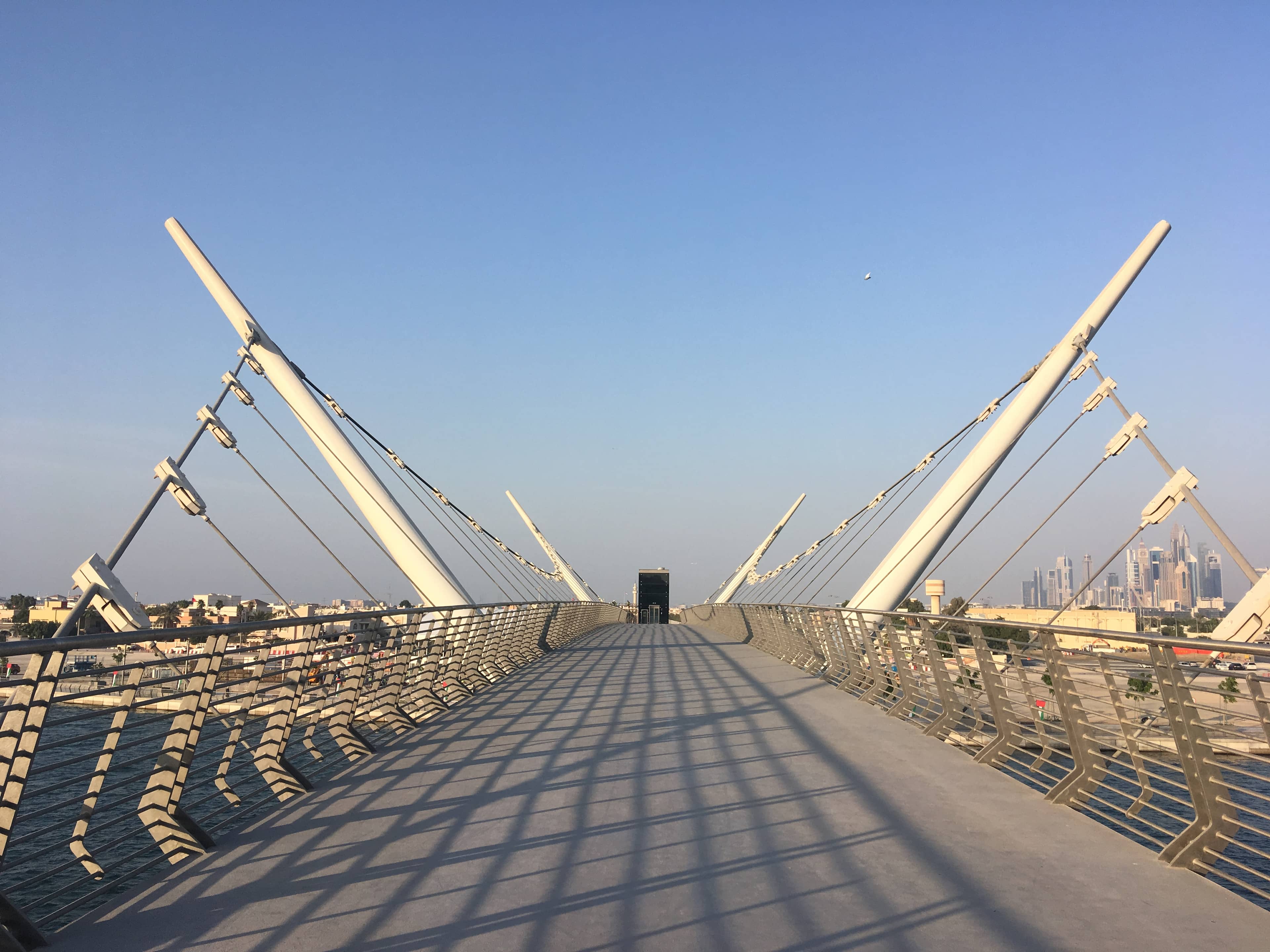 Suspension Bridges
