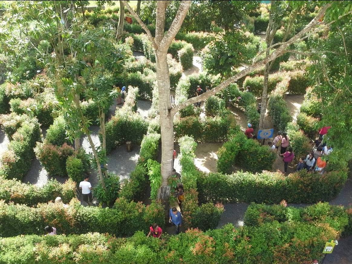 The Garden Maze