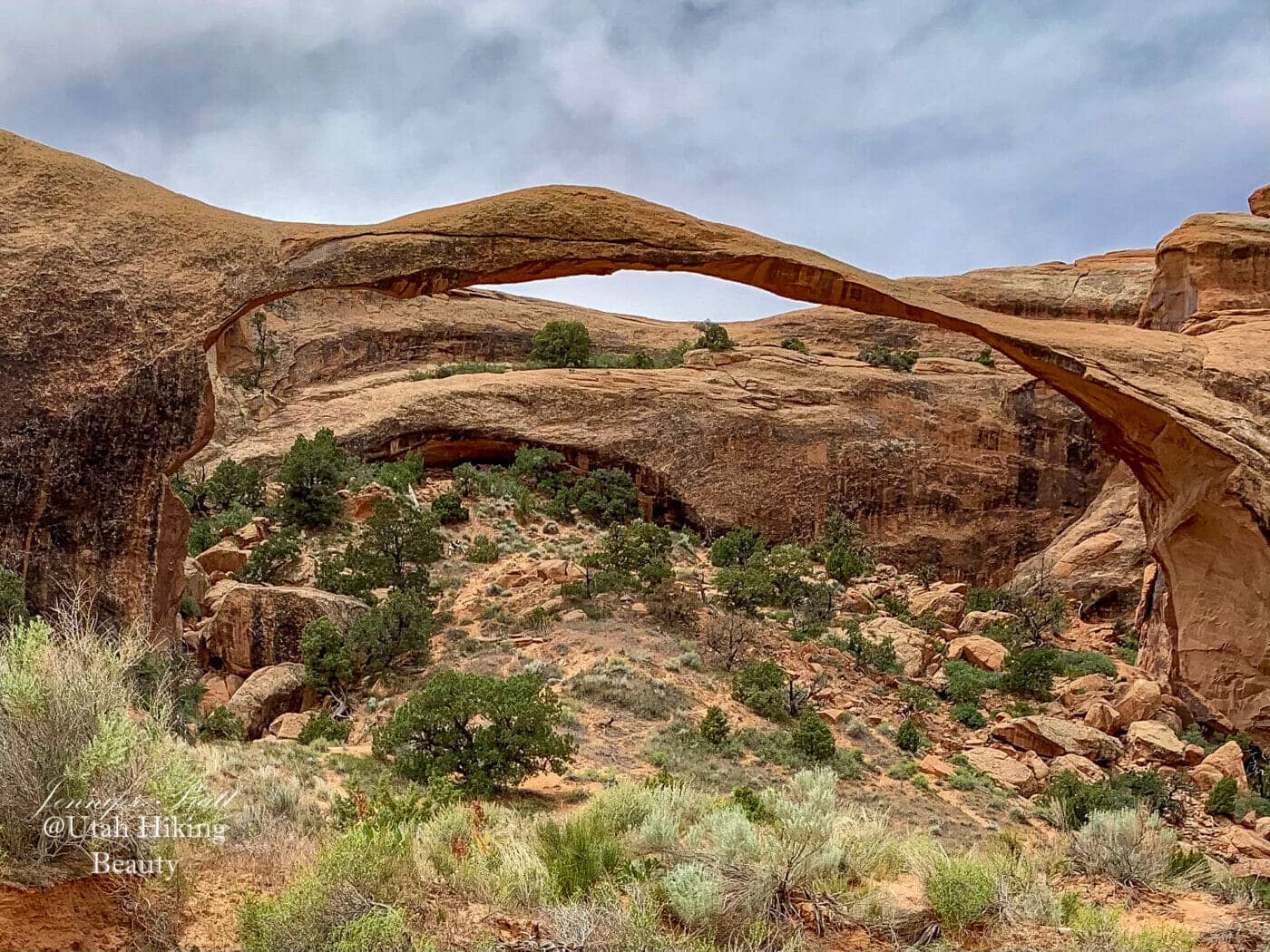 Tunnel Arch & Pine Tree Arch