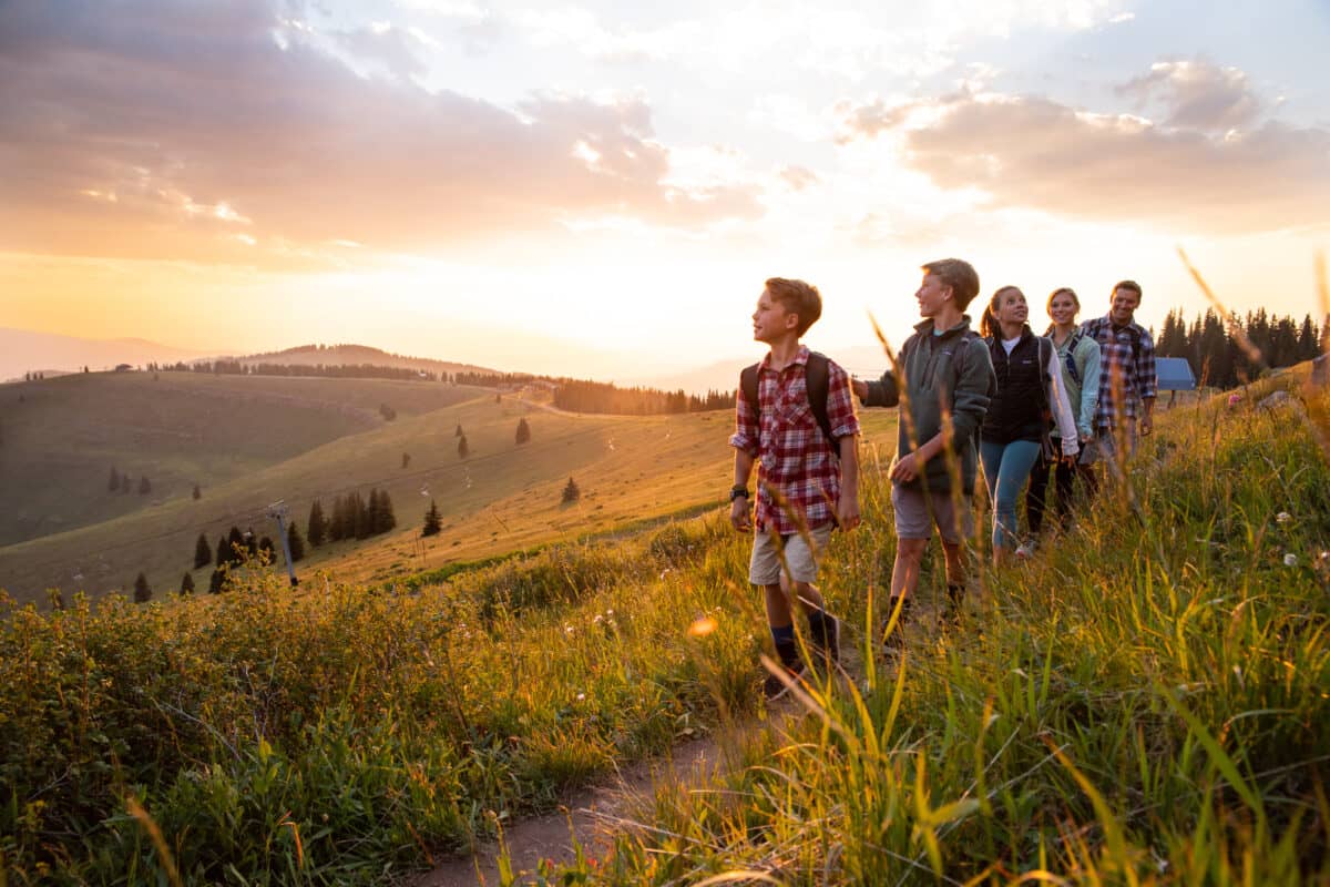 Guided Wildflower Walks