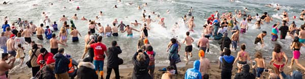 Polar Bear Swim
