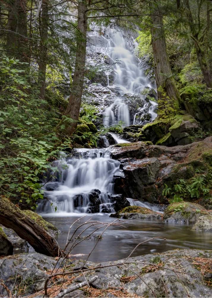 Mary Vine Creek Waterfall