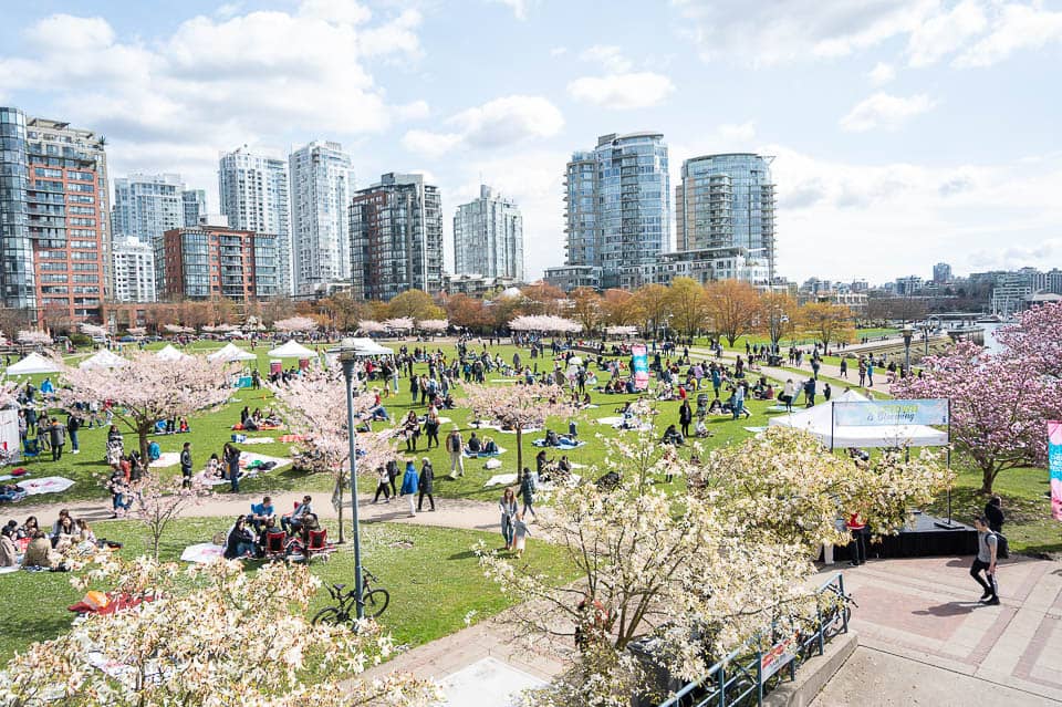 David Lam Park