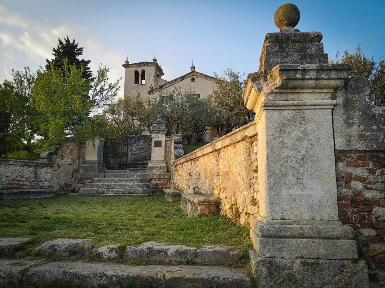 Tranquil Olive Grove Setting