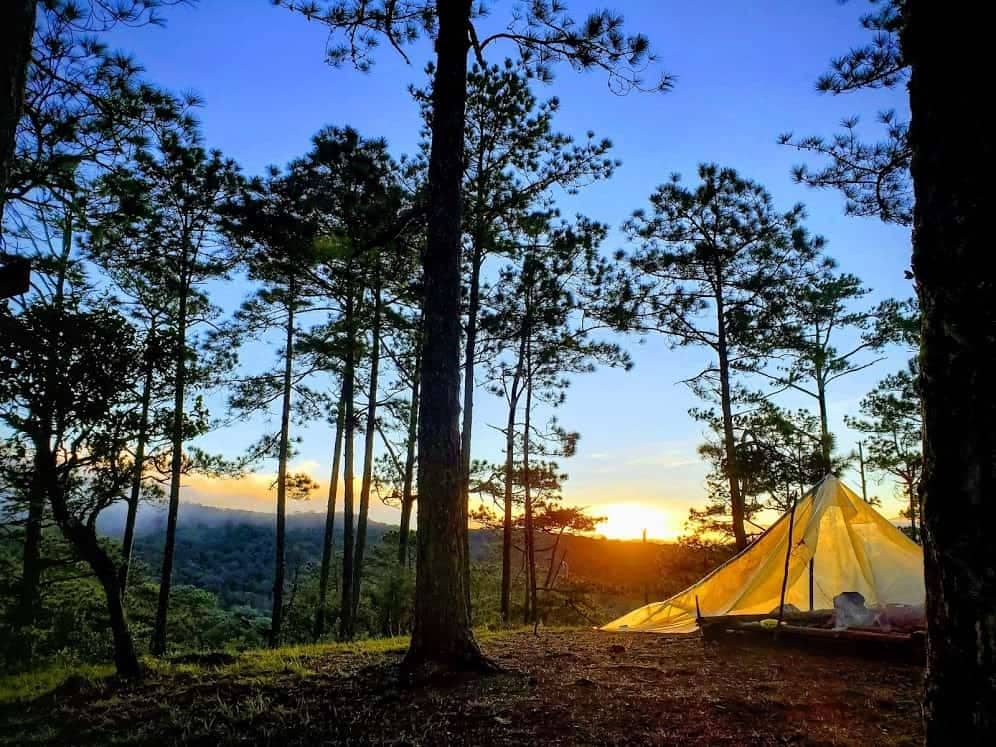 Camping Adventures