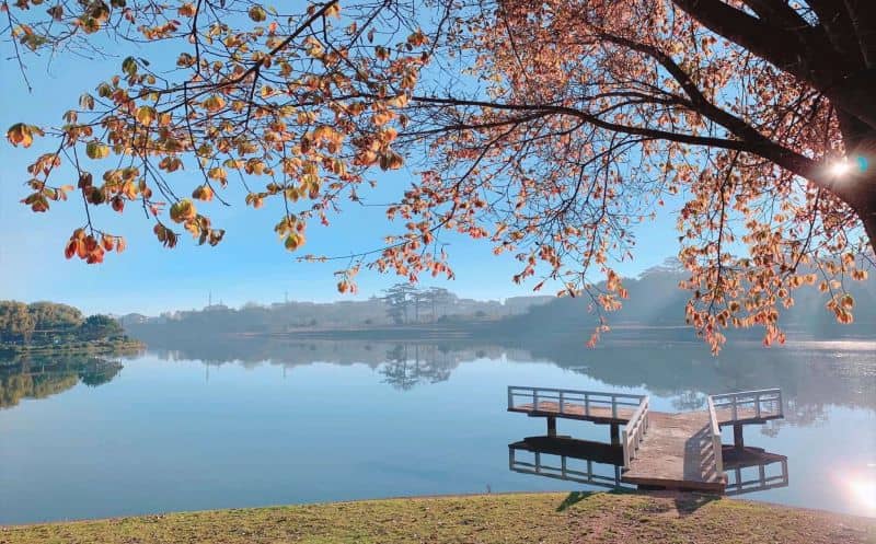 Xuan Huong Lake Views