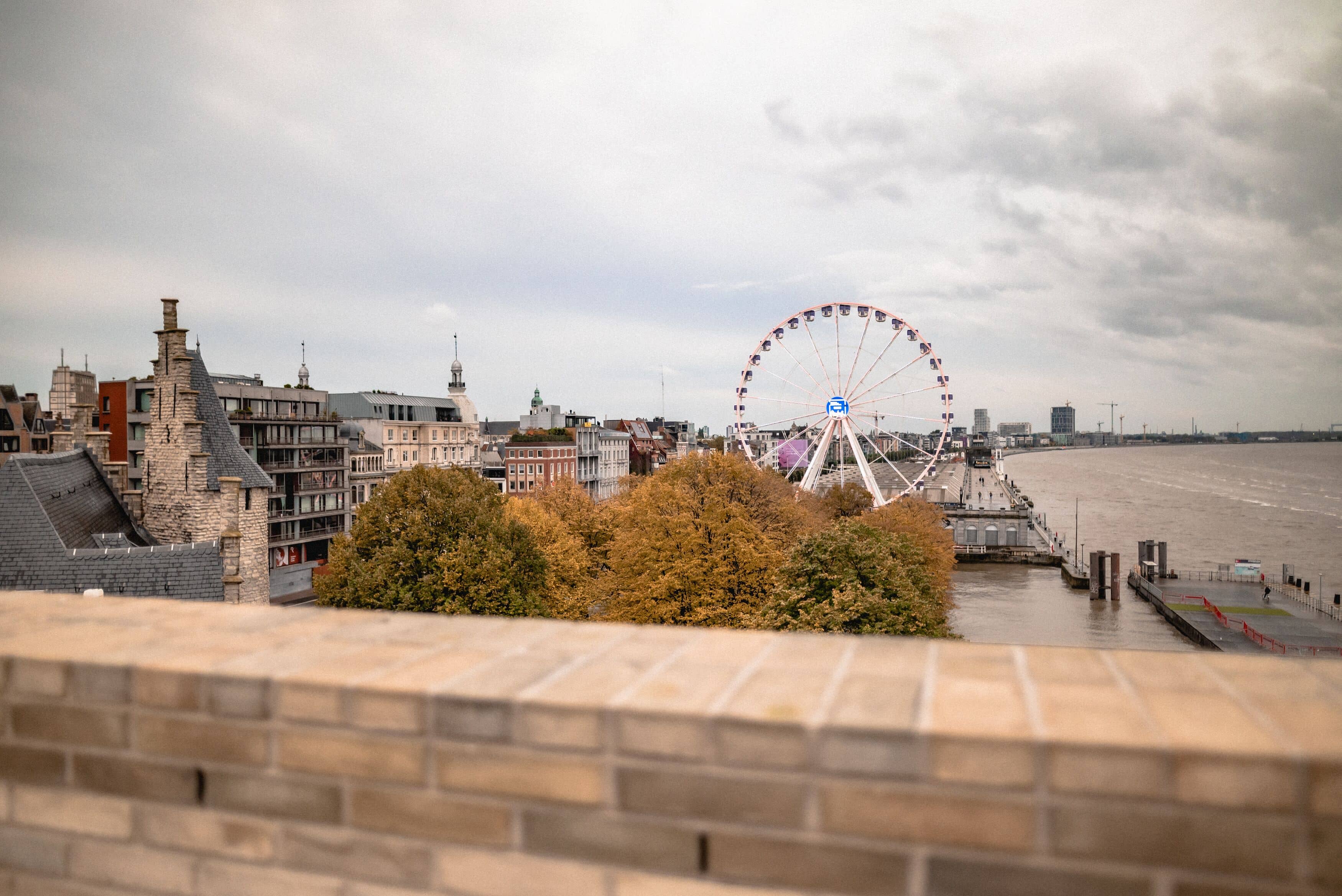 Rooftop Views
