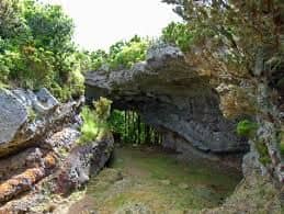 Free 'Furnas' and Altar