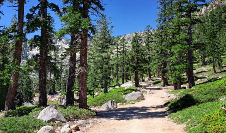 Scenic Hiking Trails
