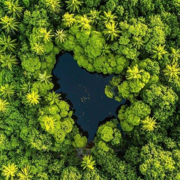 Pareefengadu (Fairy Pond)