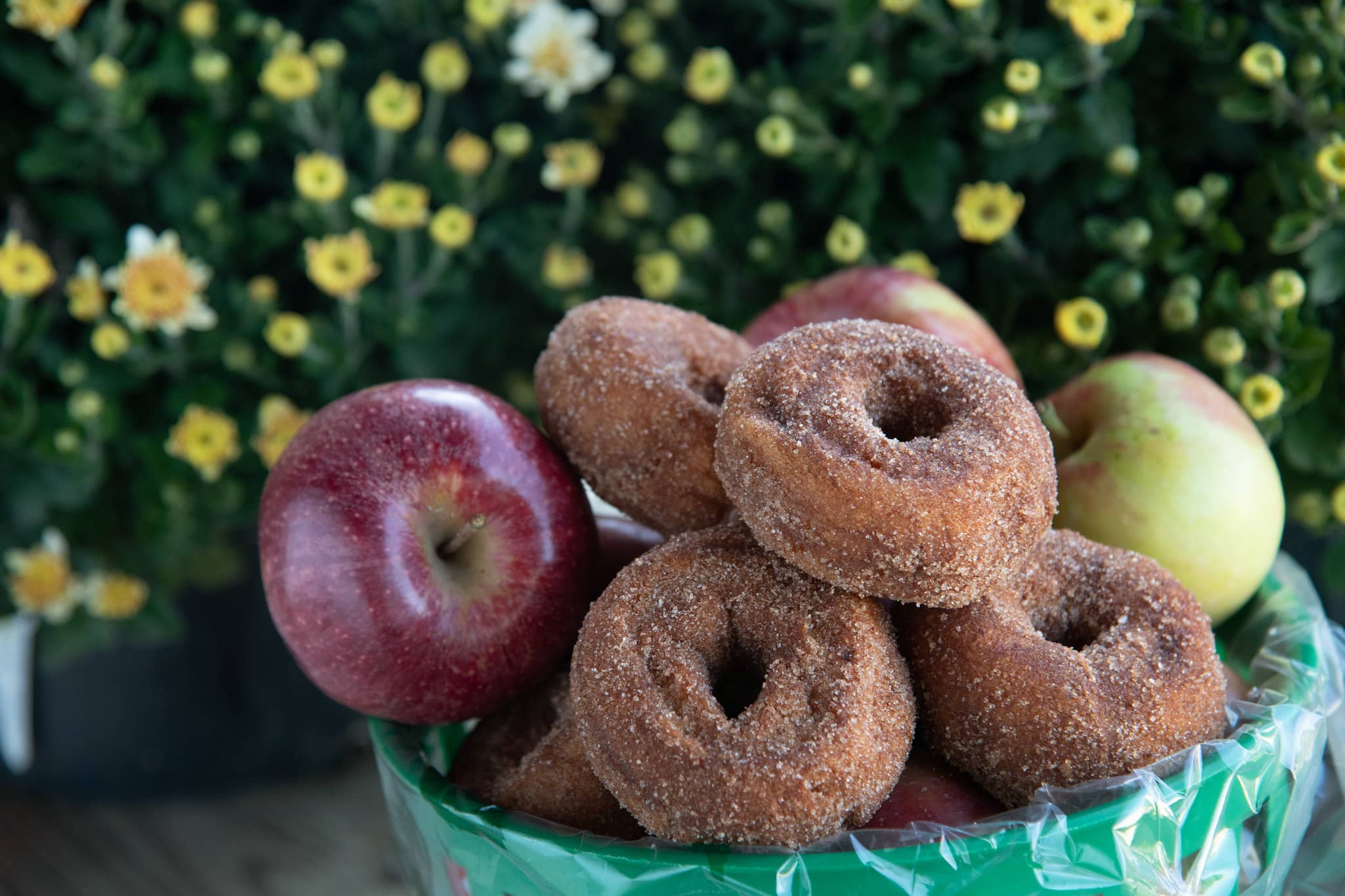 The Apple House Cider Donuts