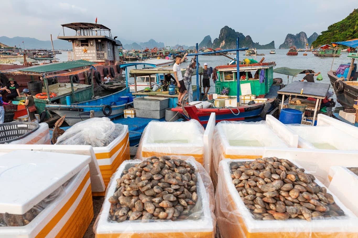 Local Seafood Markets