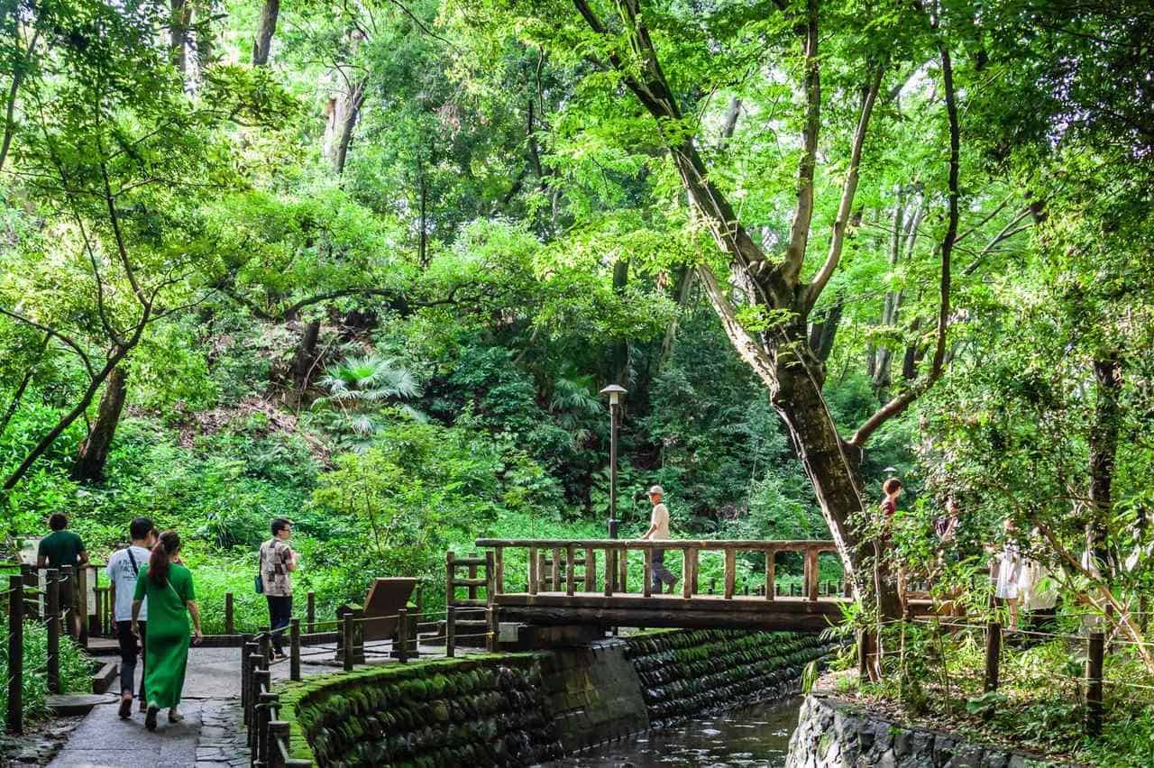 Japanese Garden