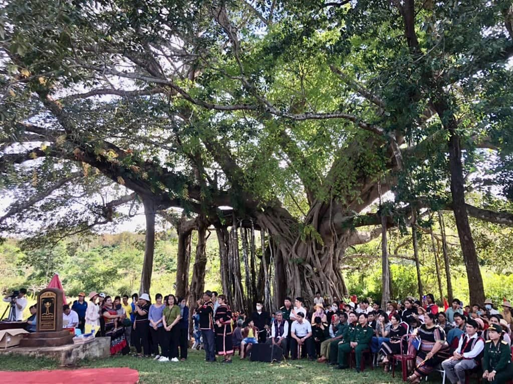 The Ancient Banyan Tree