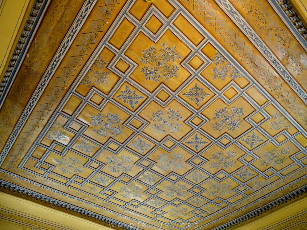 Elaborate Ceilings