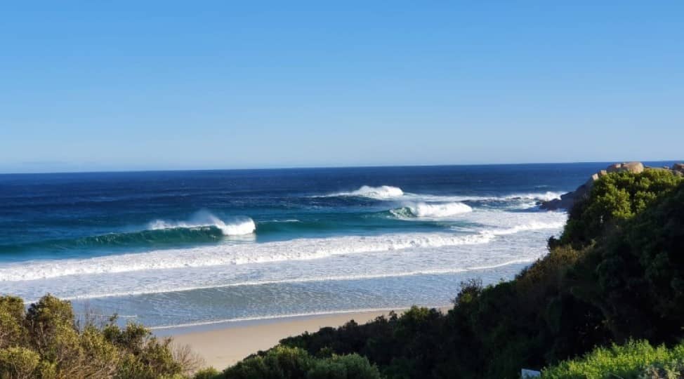 Surfer's Paradise