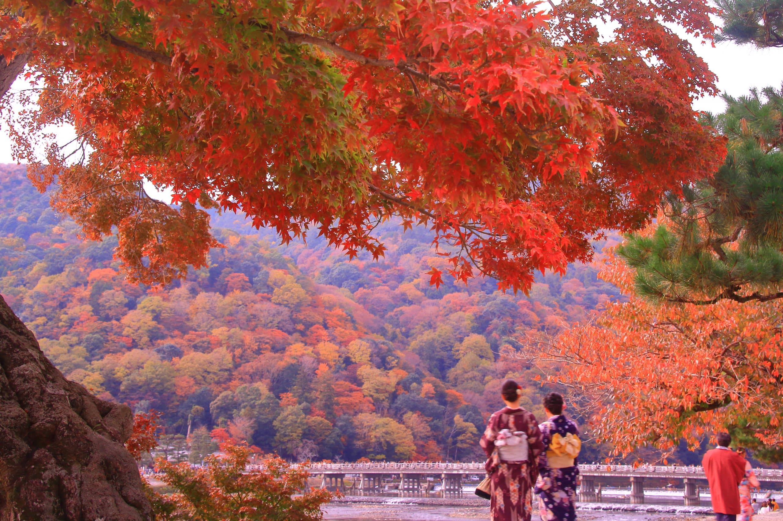 Kimono Experience