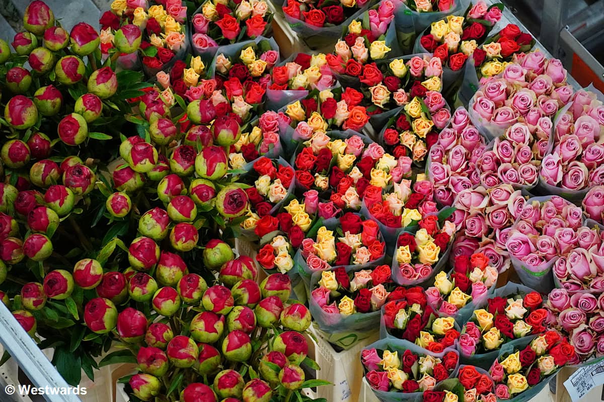 Vast Flower Displays